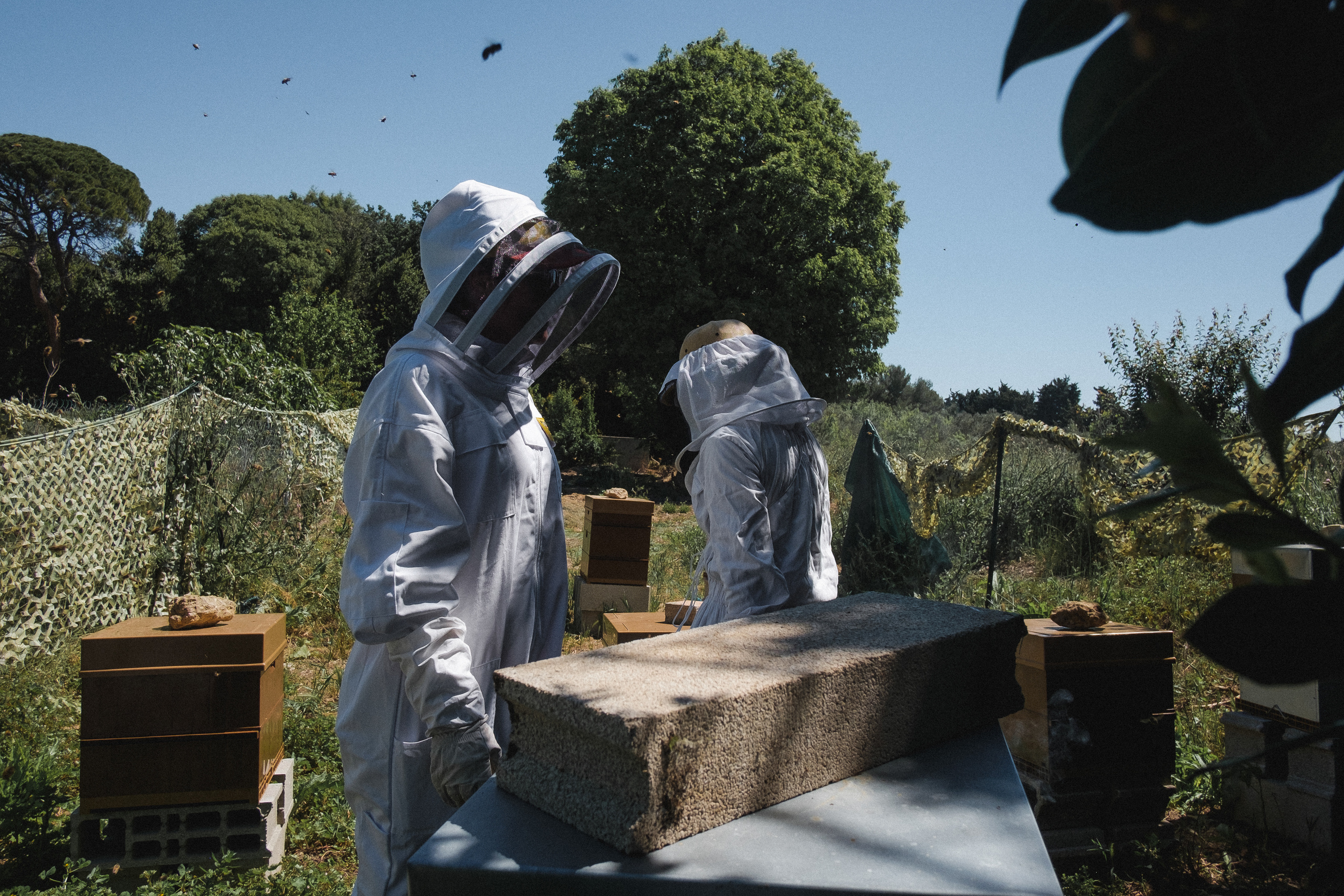 Пасека. Portrait and reportage photographer