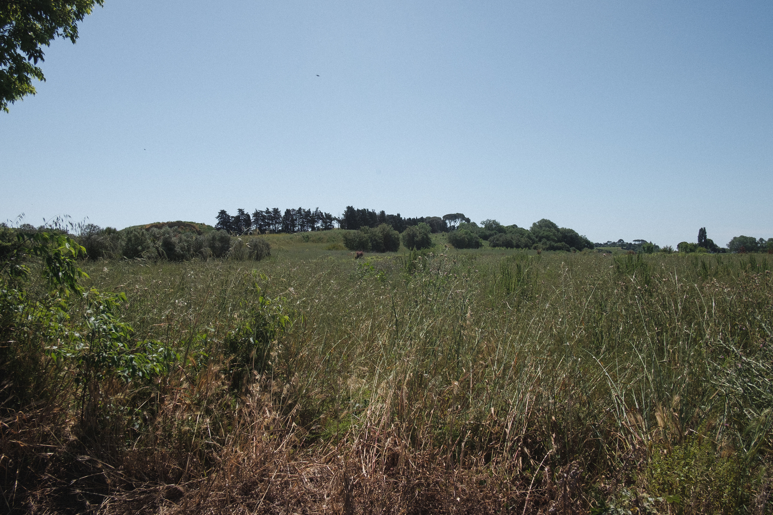 Пасека. Portrait and reportage photographer