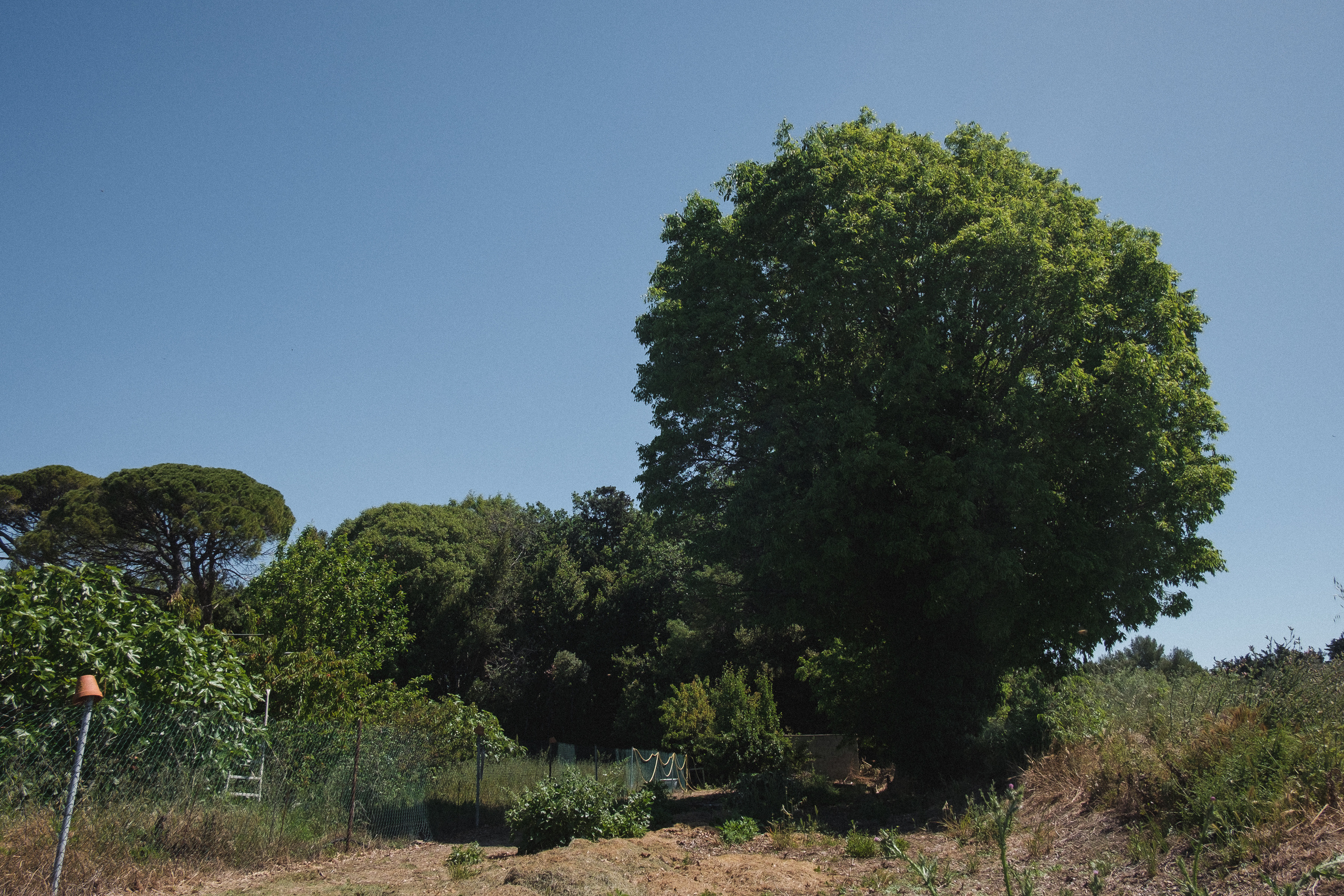 Пасека. Portrait and reportage photographer