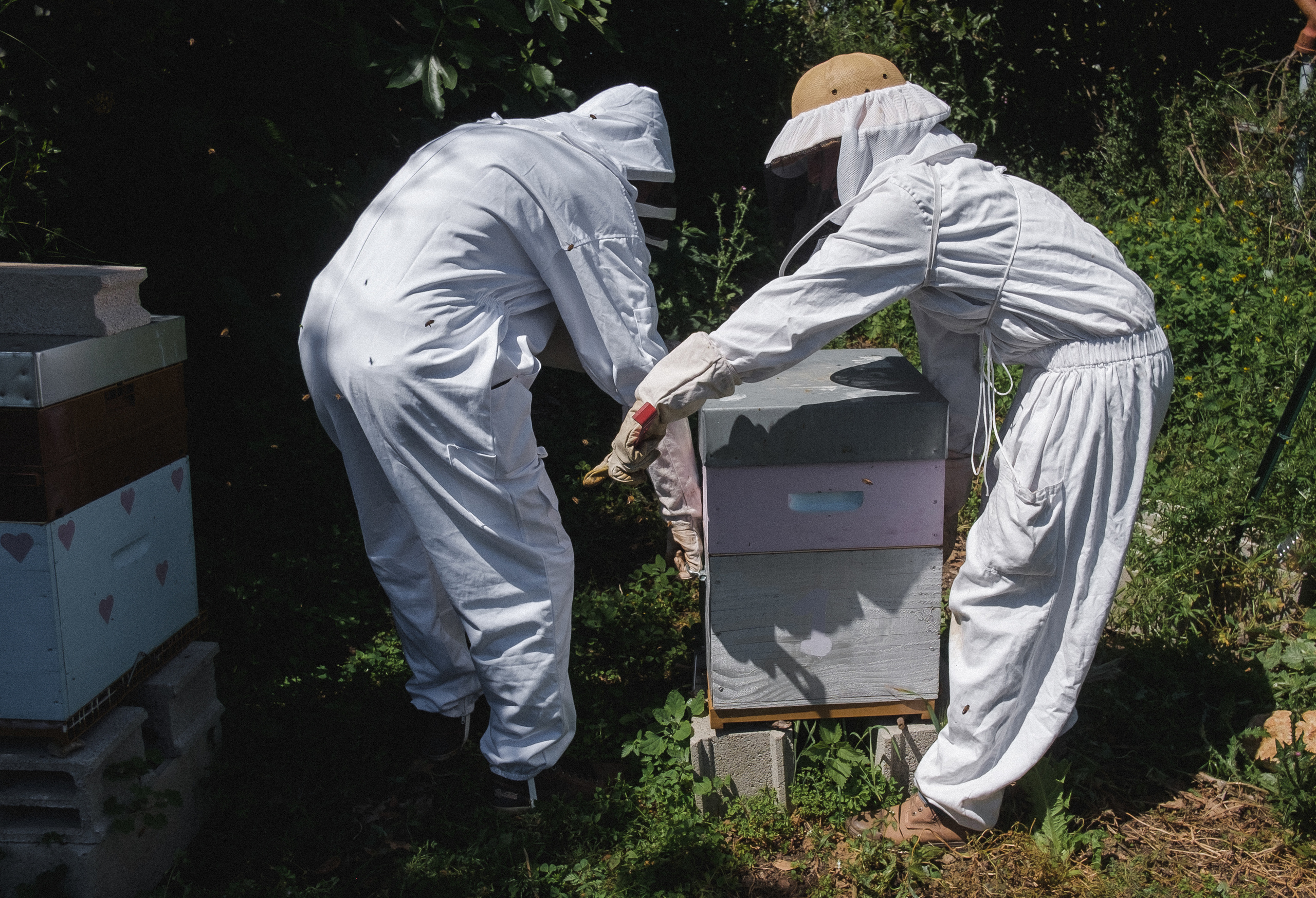 Пасека. Portrait and reportage photographer