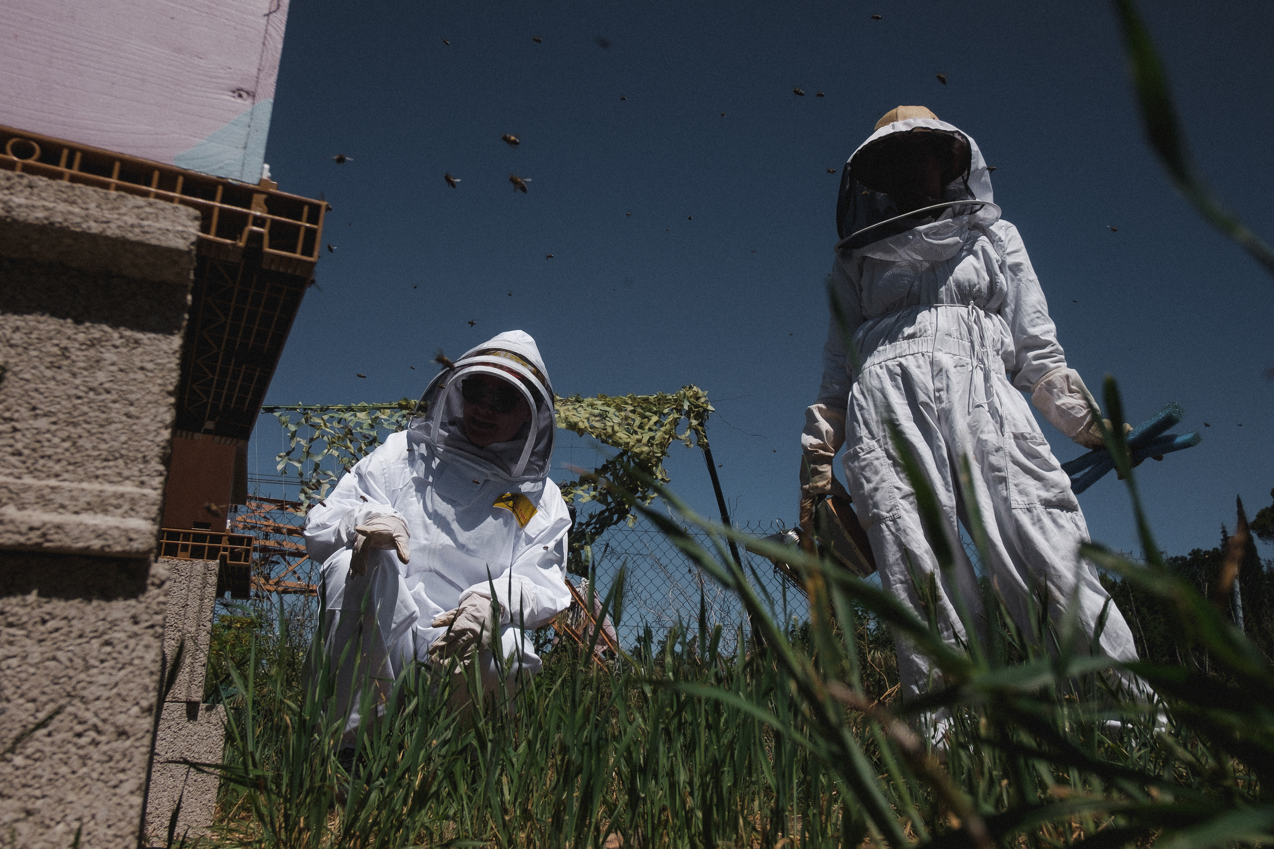 Пасека. Portrait and reportage photographer