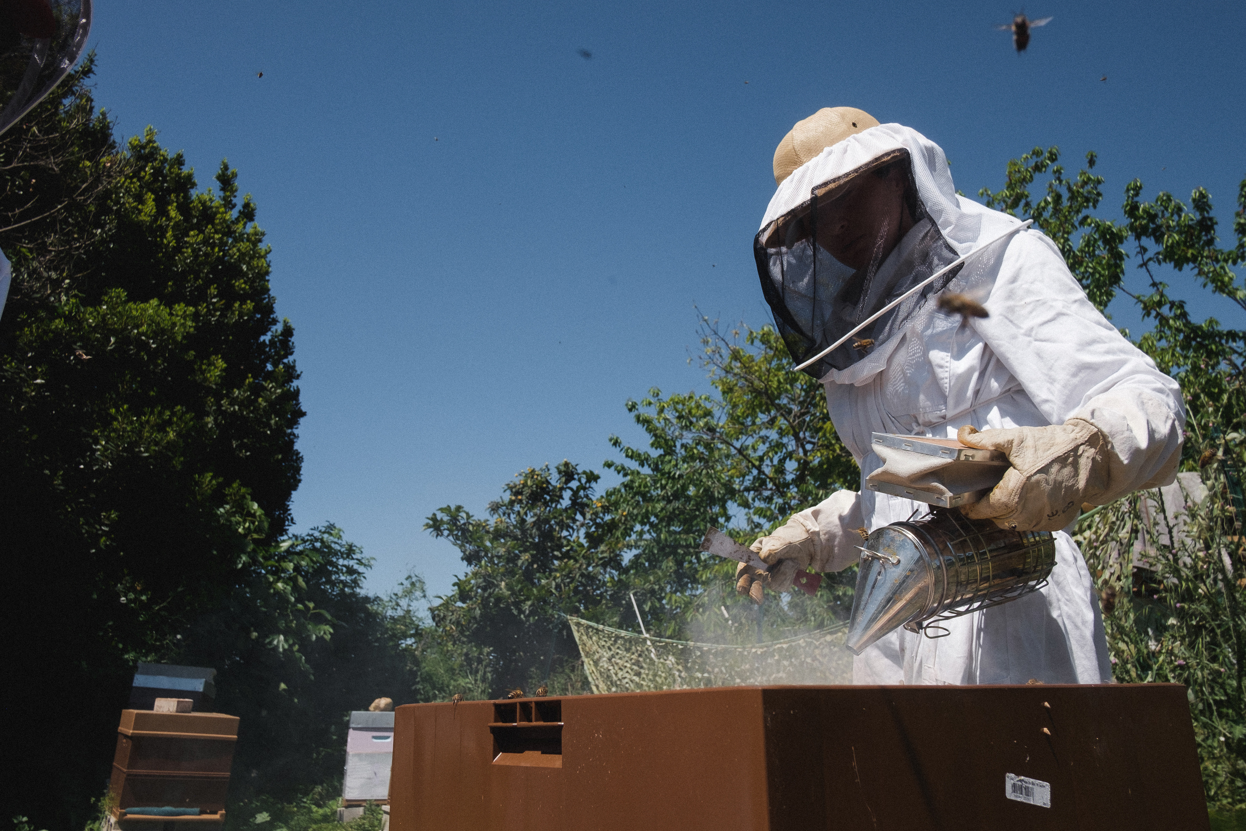 Пасека. Portrait and reportage photographer