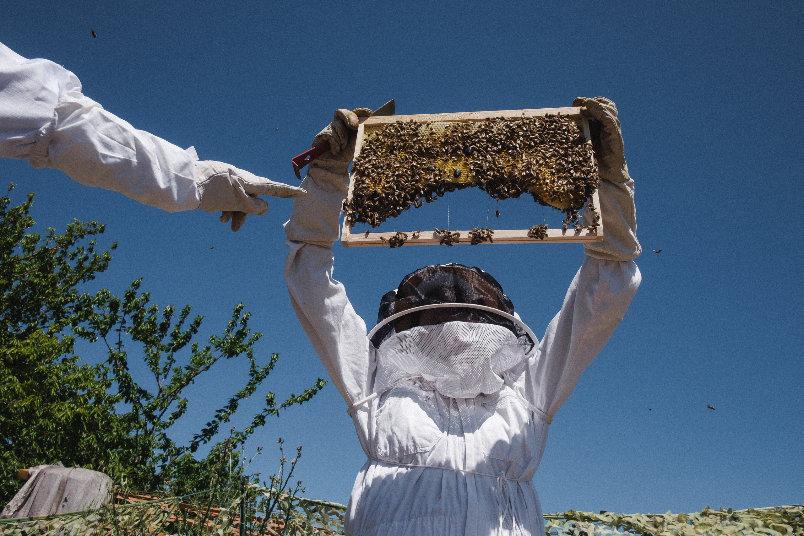 Пасека. Portrait and reportage photographer