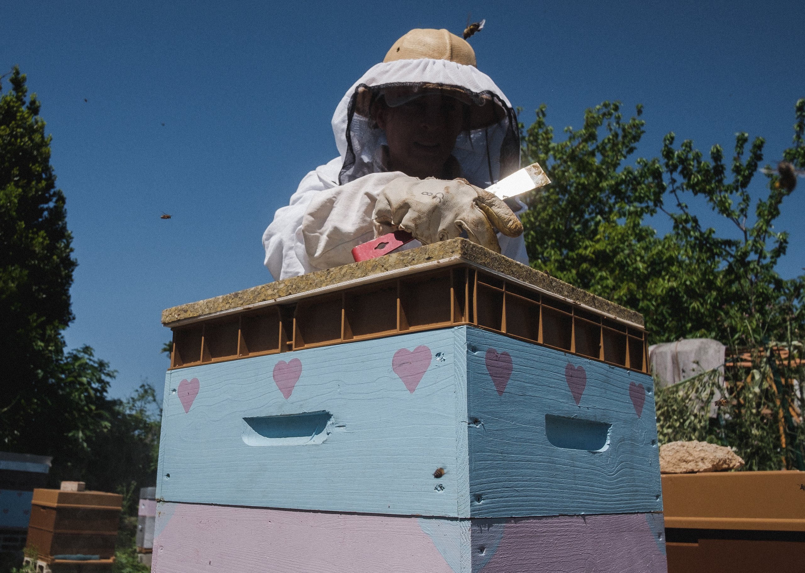 Пасека. Portrait and reportage photographer