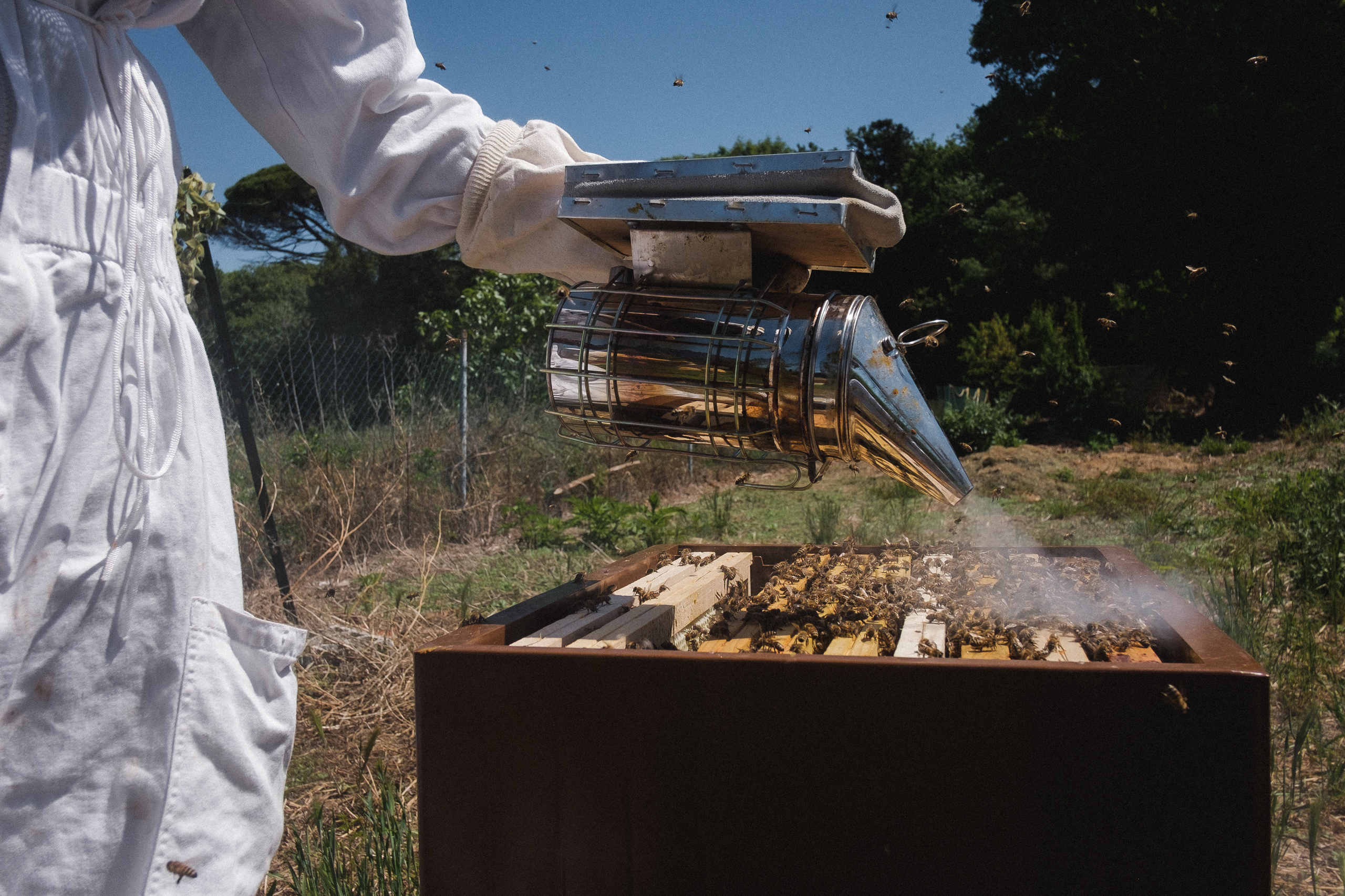 Пасека. Portrait and reportage photographer