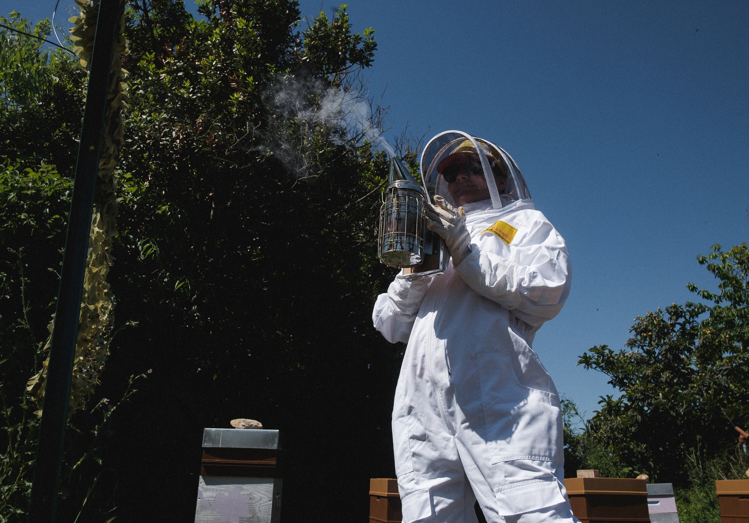 Пасека. Portrait and reportage photographer