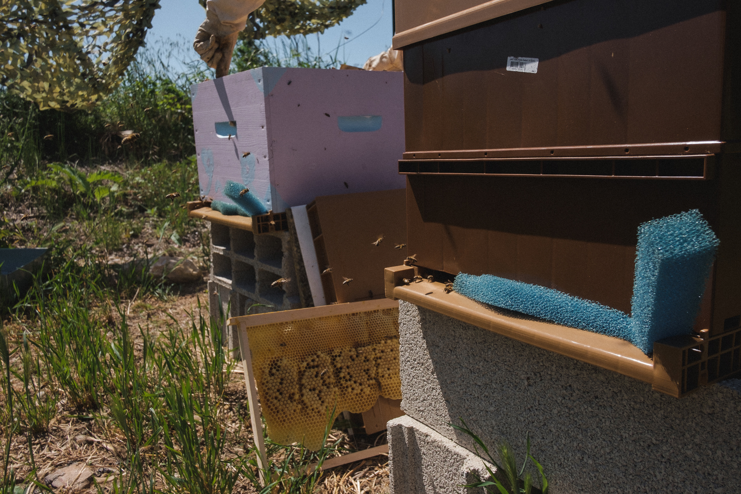 Пасека. Portrait and reportage photographer