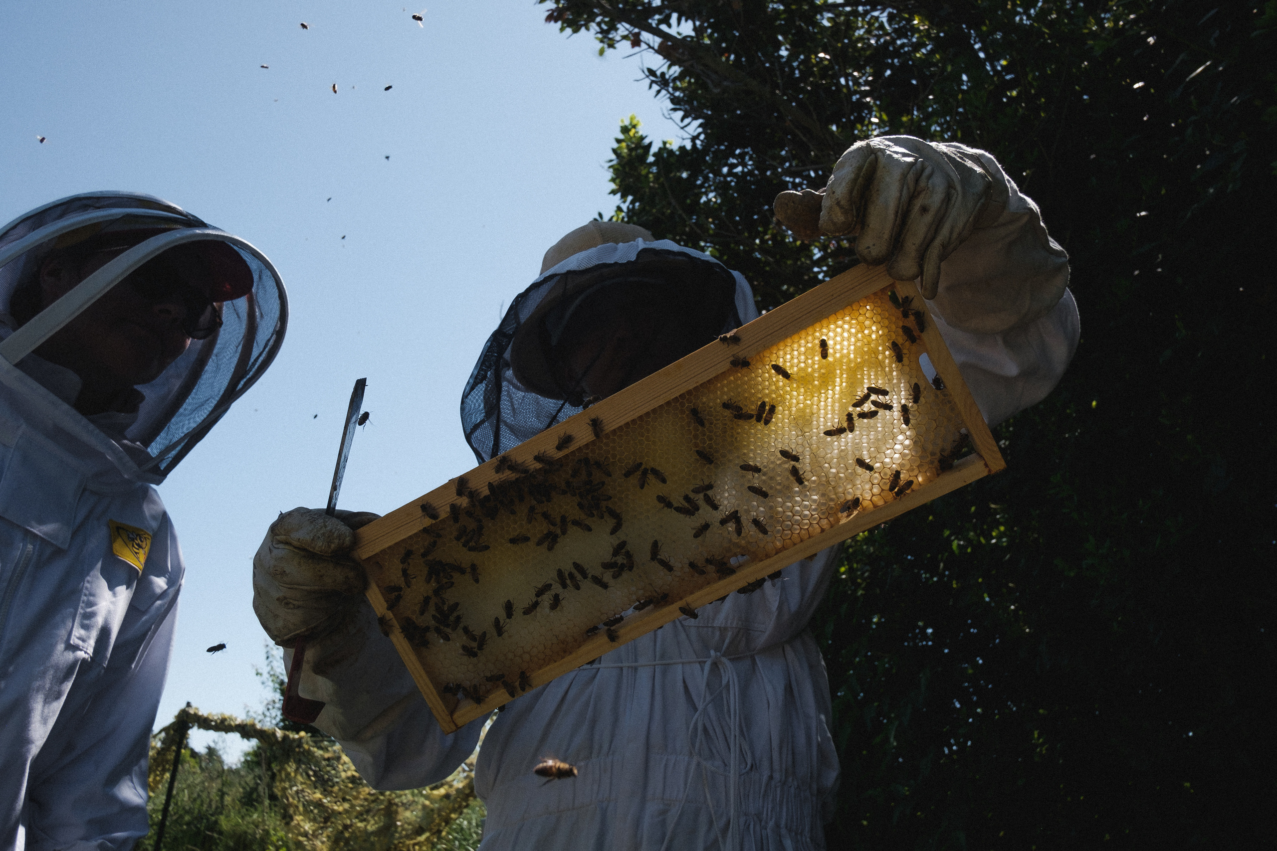 Пасека. Portrait and reportage photographer