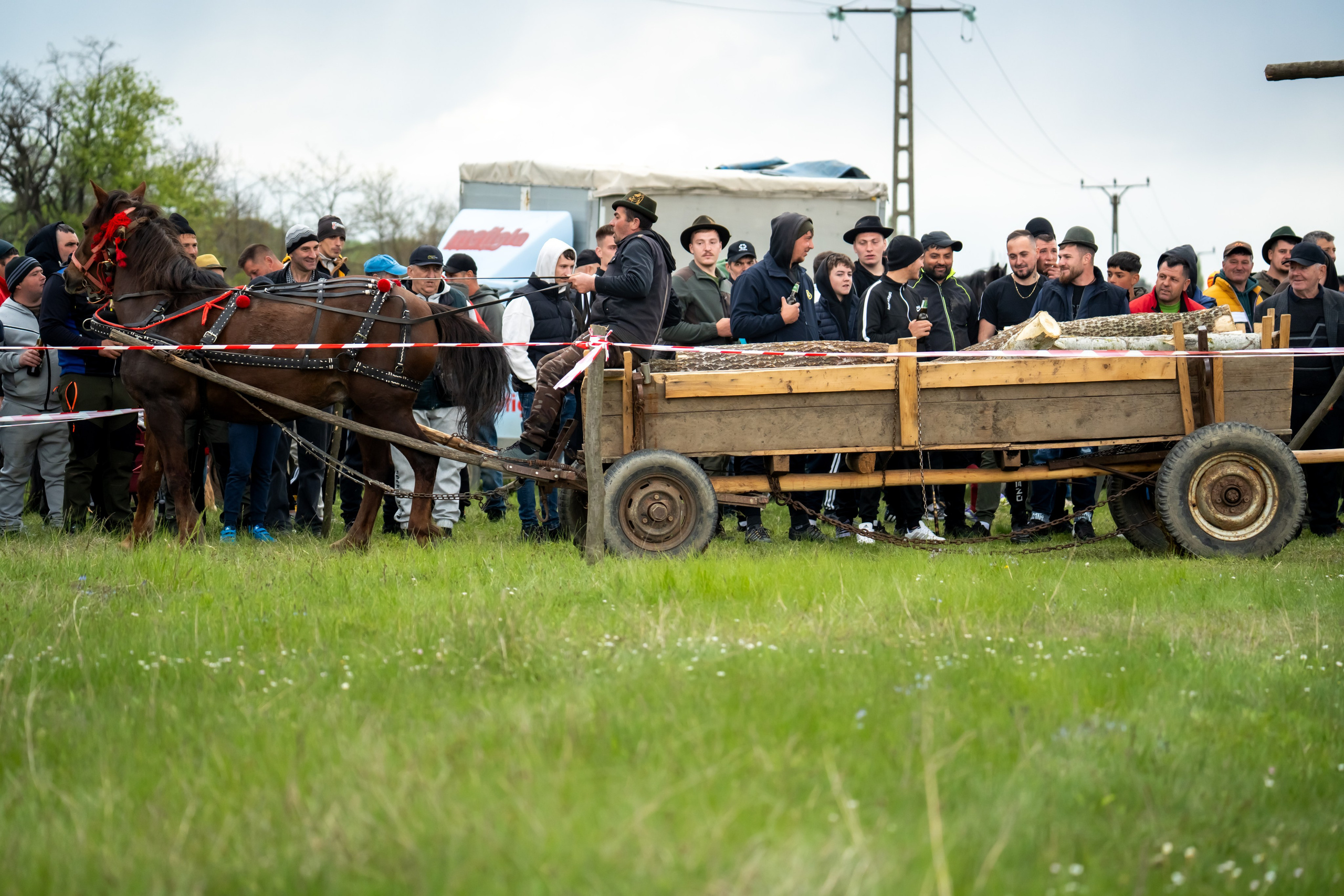 Concurs Ecvestru Vărbilău ediția a 4-a. Mihai Alexandra Events