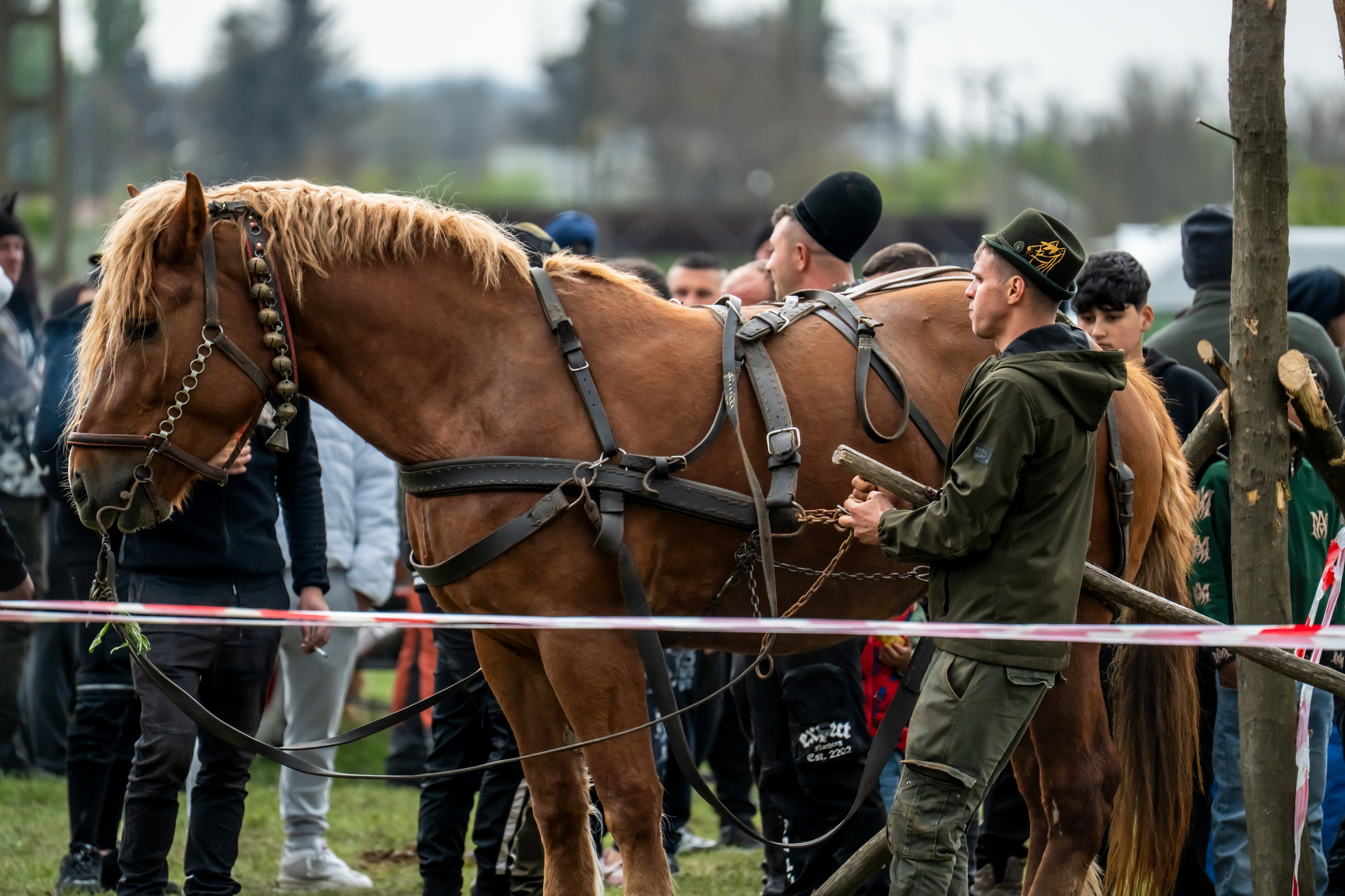 Concurs Ecvestru Vărbilău ediția a 4-a. Mihai Alexandra Events
