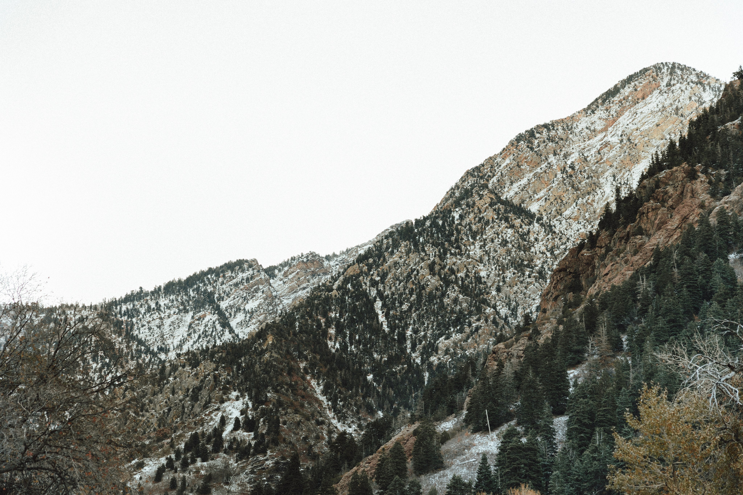 J&J. Sara Eulalia | Virginia Photographer