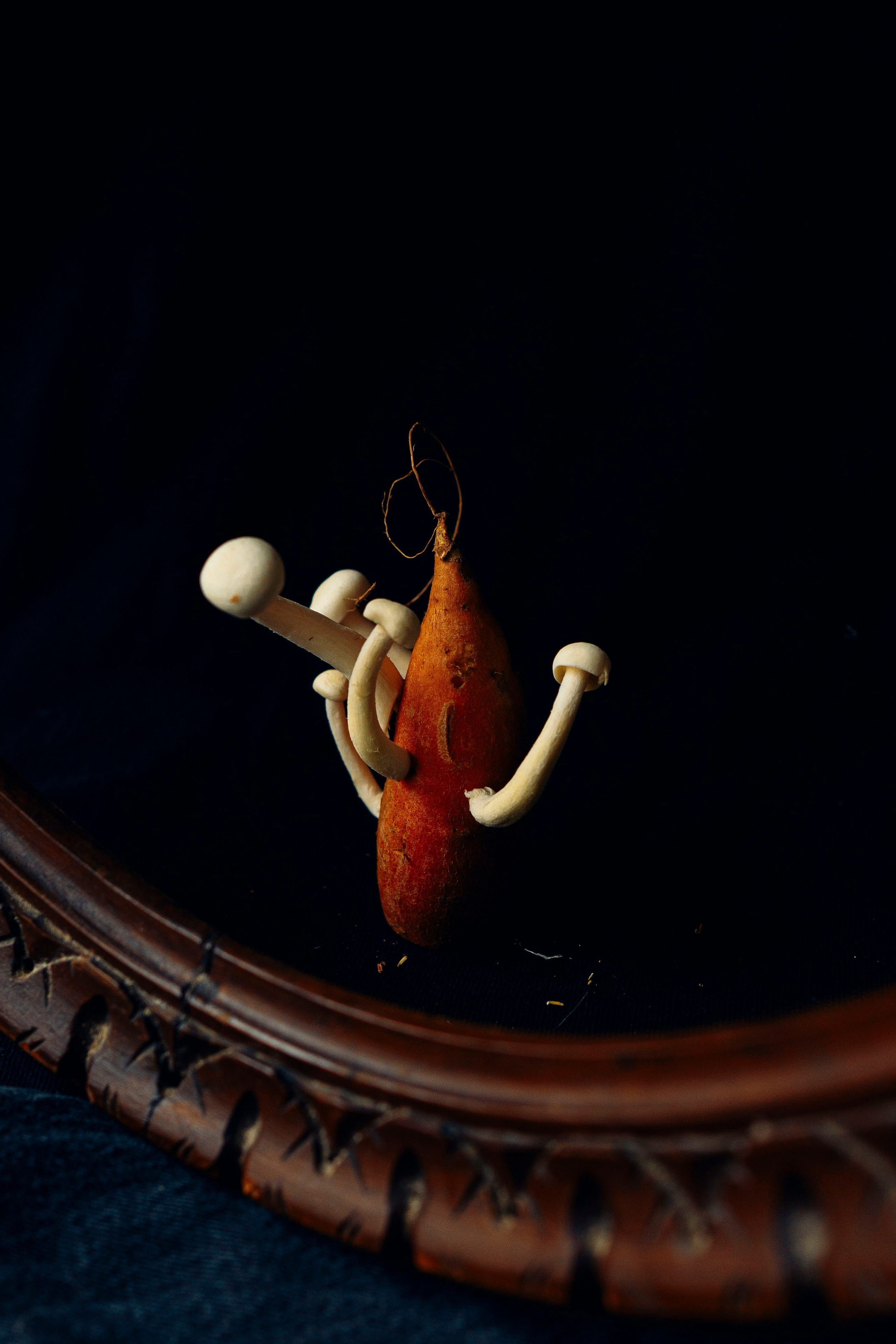 Sweet potato & mushrooms. Мария Шер. Профессиональный фотограф в городе Порту, Португалия