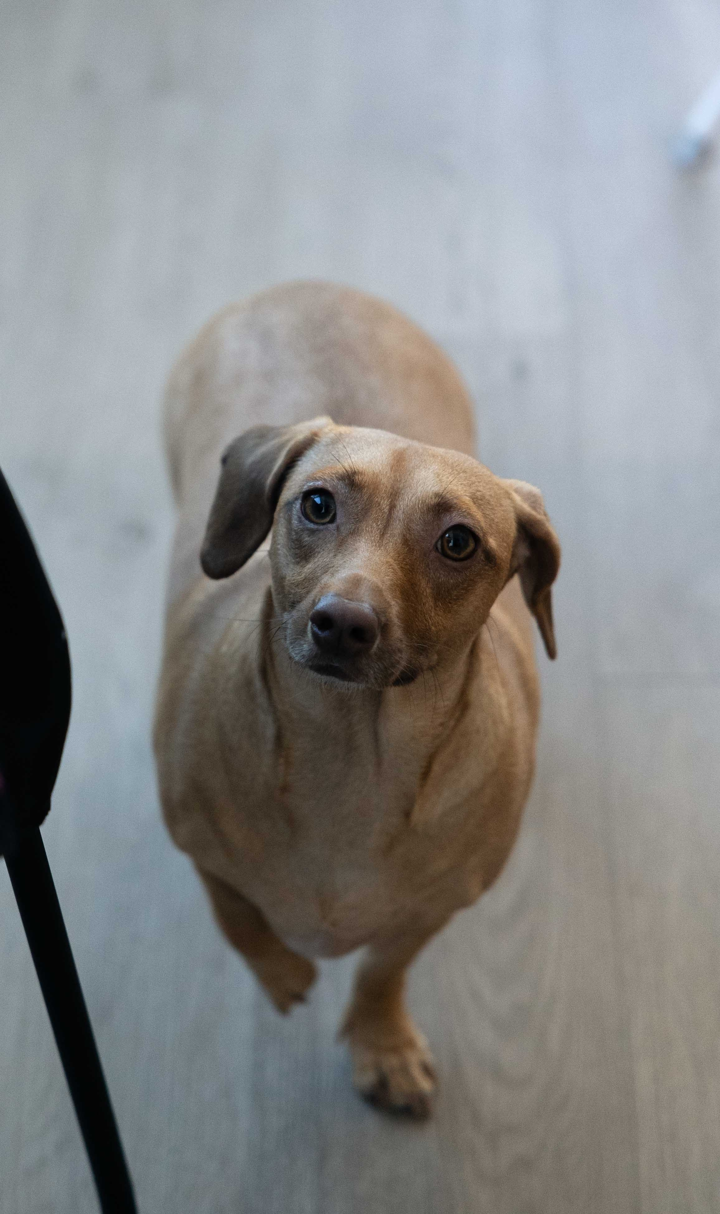 Khrystyna & Zachary (Winnipeg Art Gallery). Wedding Photographer in Winnipeg — Cinematic & Timeless by Vitiuk Photography