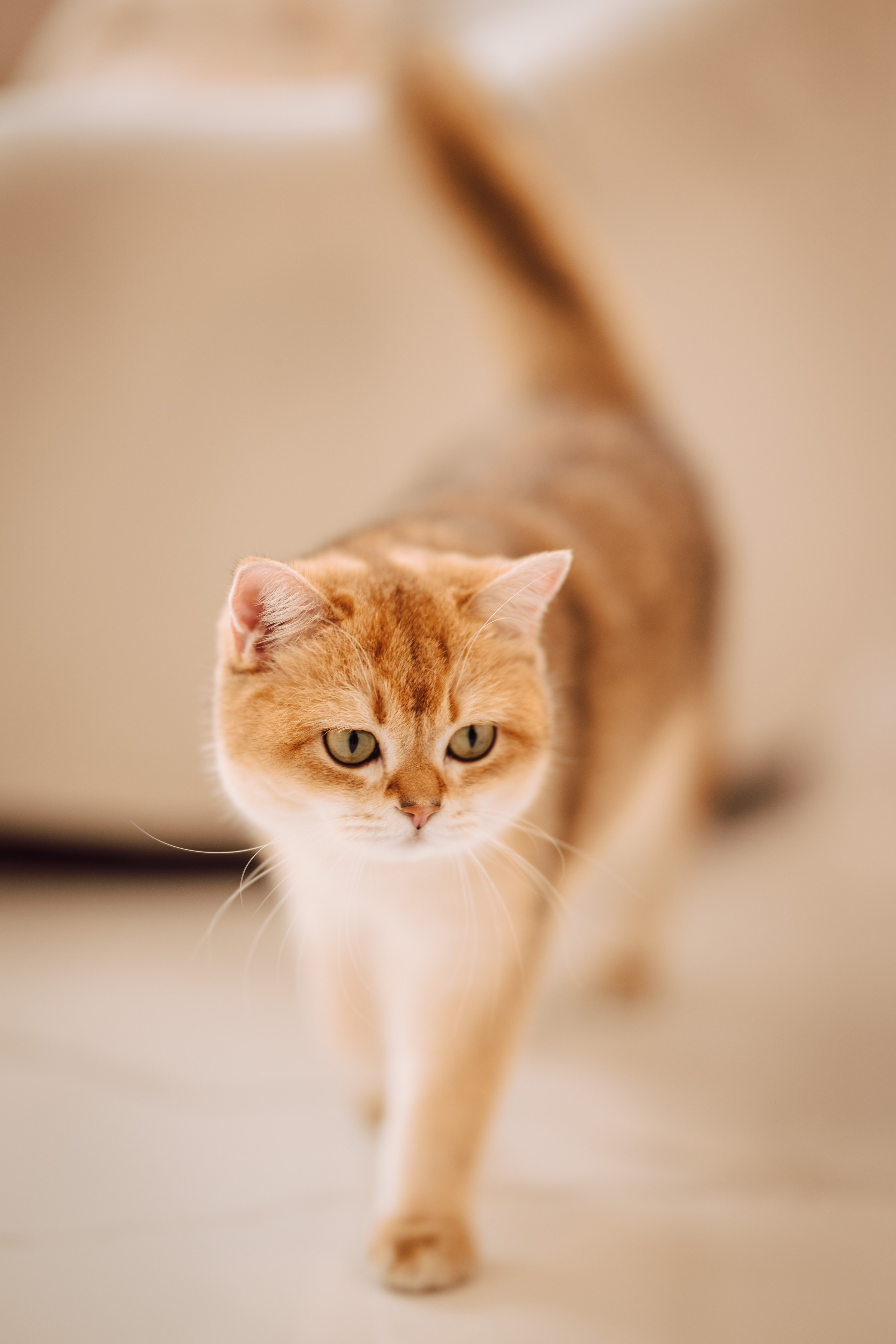 Selim. The Catalins Events — Wedding Photography & Videography