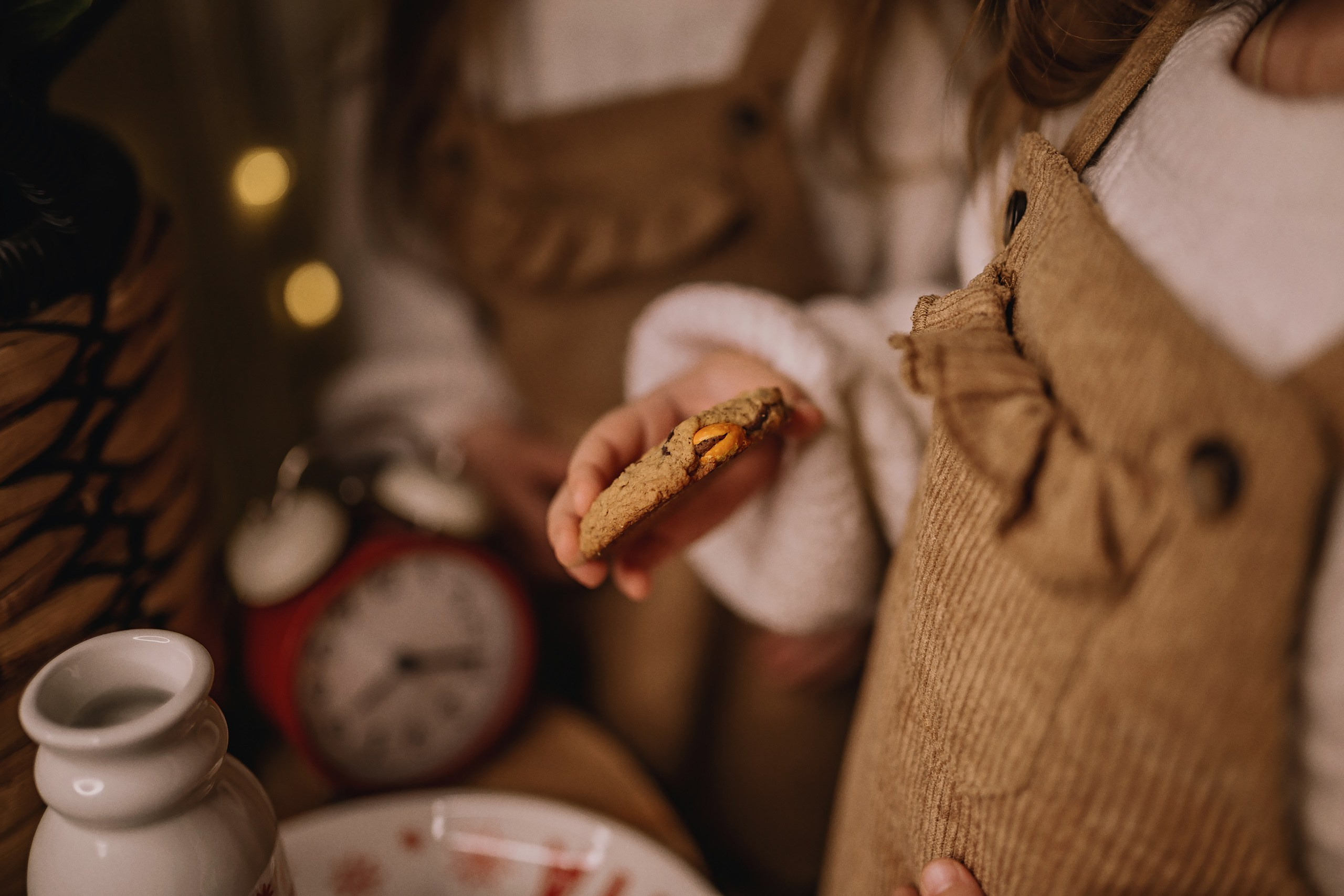 11.26.2025 Christmas Photoshoot. Wedding family event photographer in Chicago Nick Yushevich