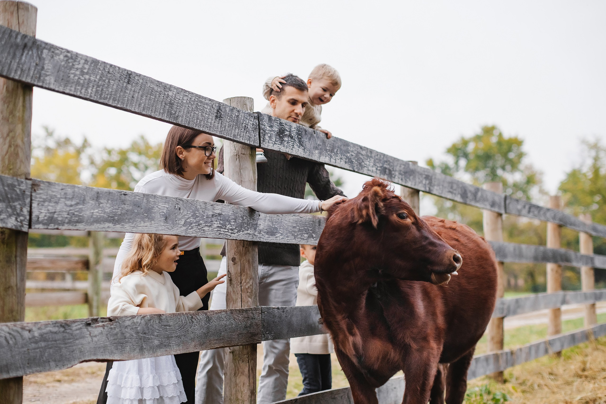 10.18.25 Family Photoshoot. Wedding family event photographer in Chicago Nick Yushevich