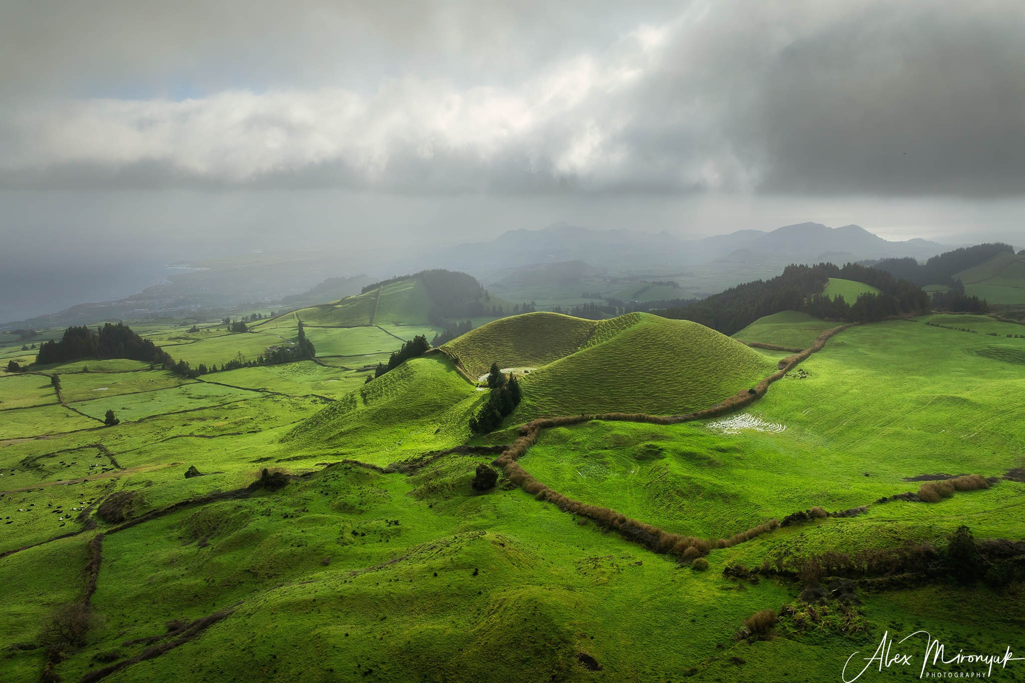 Madeira And Azores. Pet, Senior, Landscape, portrait studio, photographer in Miami and Sou