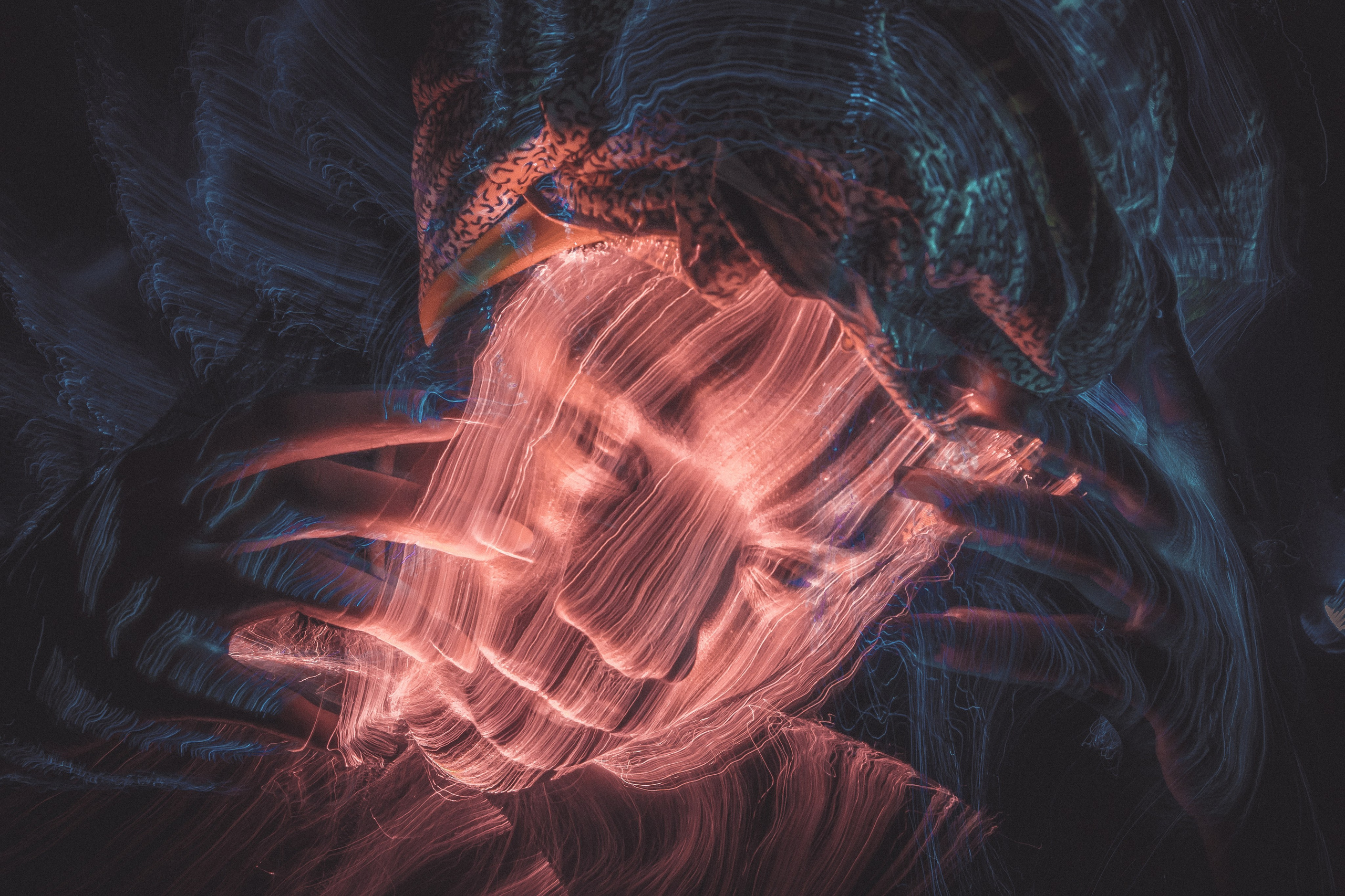 Galeria — Projetos Pessoais. Fotógrafo e Videógrafo