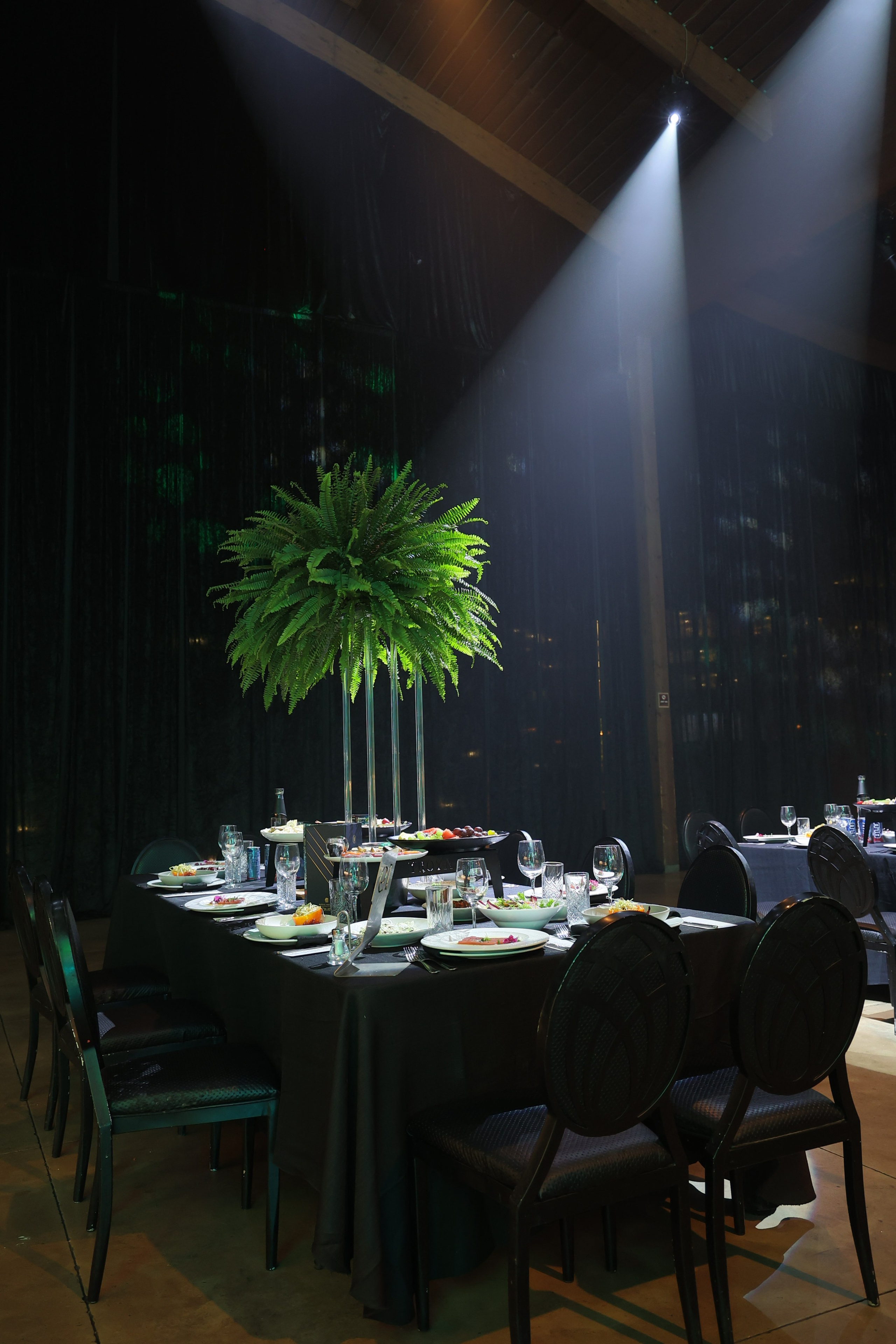 טרויה. Wedding and events photographers Studio Shalom