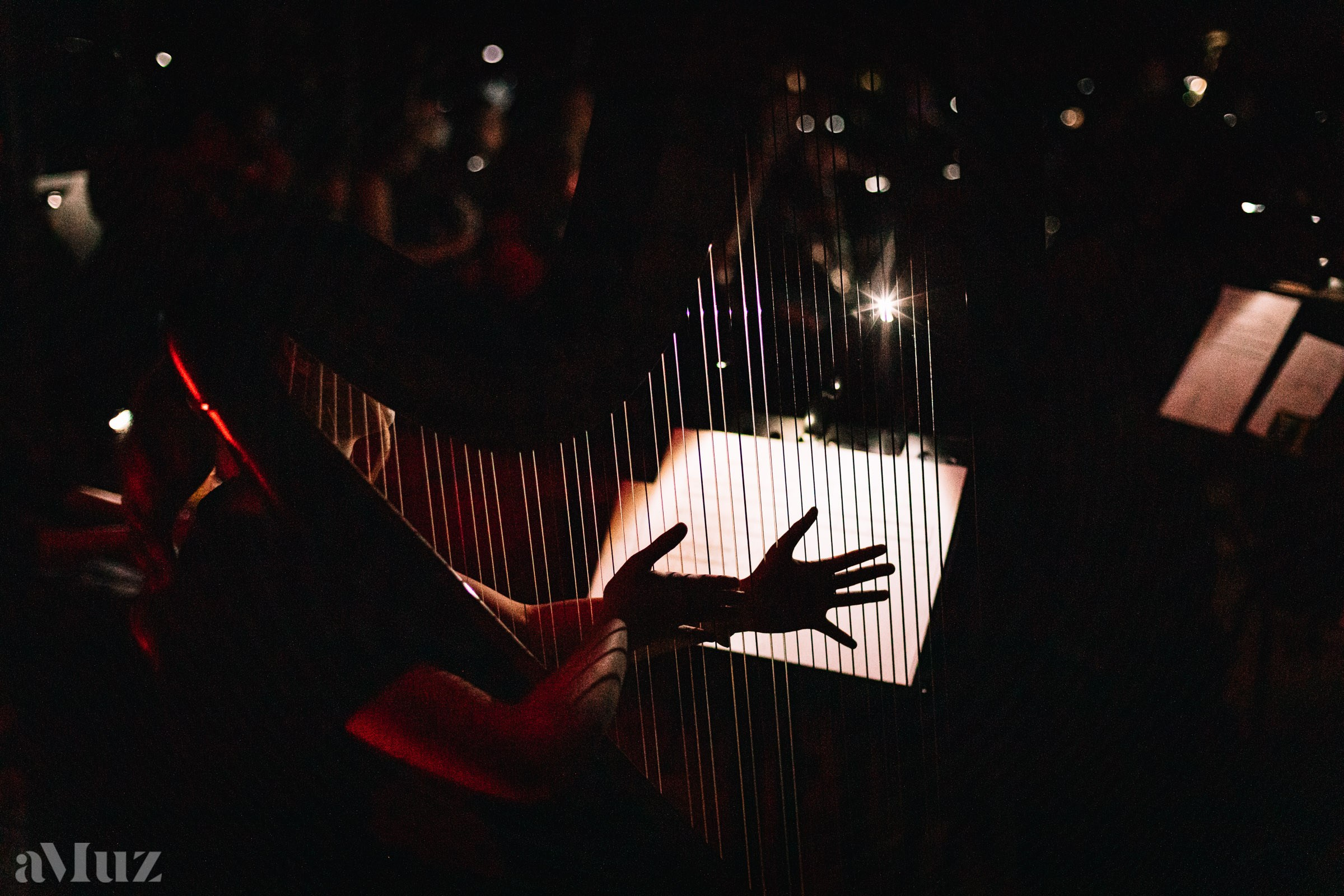 Koncert Muzyki Filmowej. Fotograf Ślubny Warszawa - Sesje Biznesowe Rodzinne Eventy