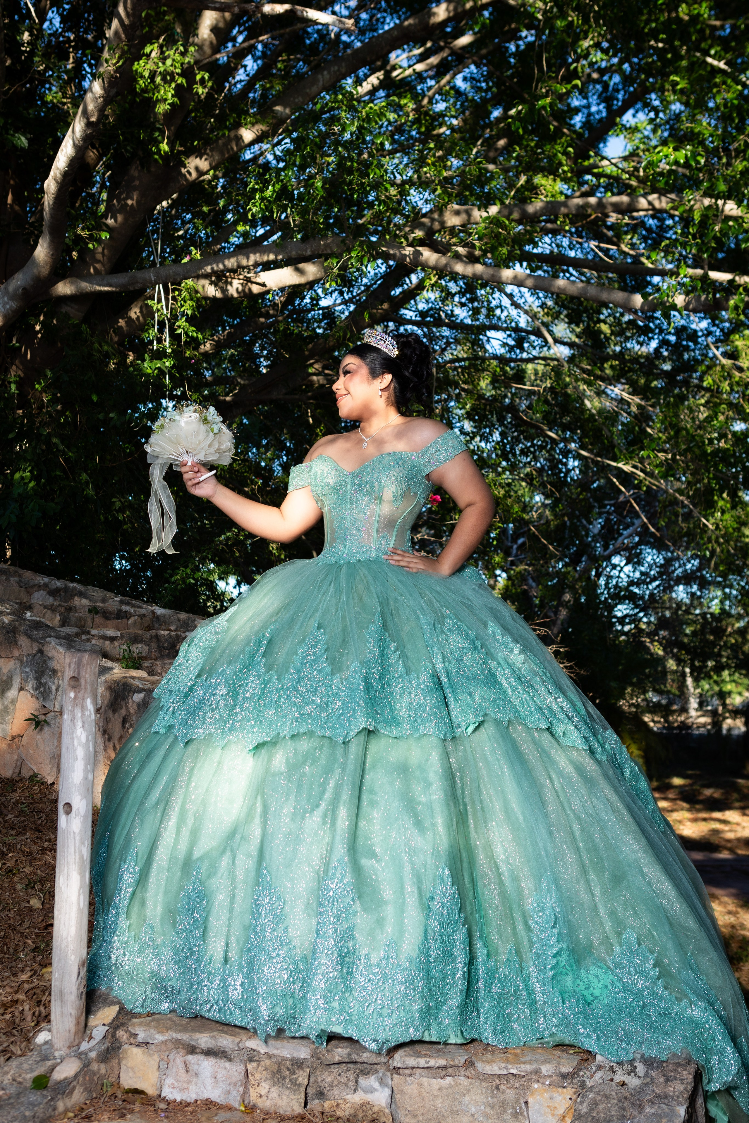 Xv años Danna