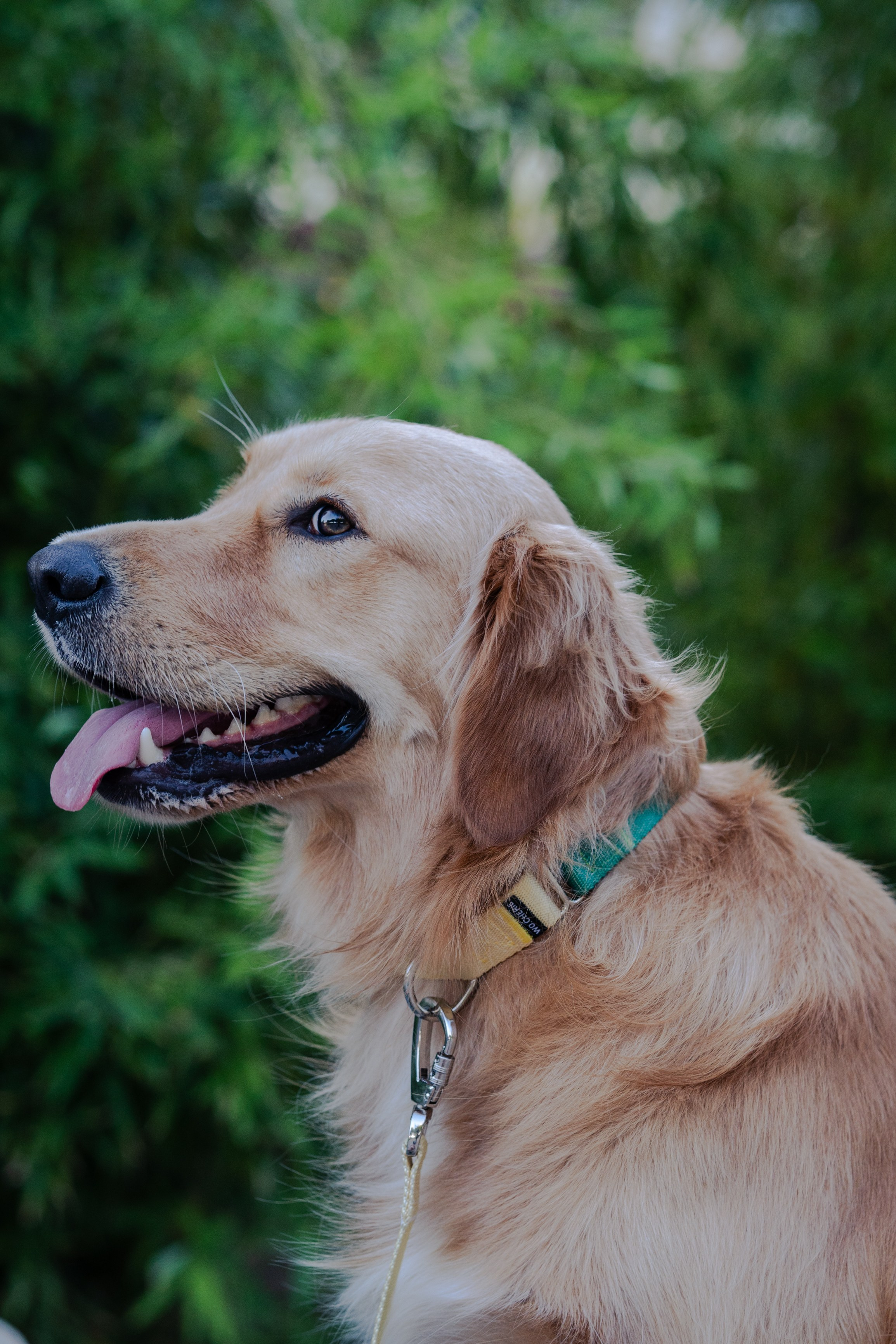 Wo.cherie. Lisbon Event Photographer