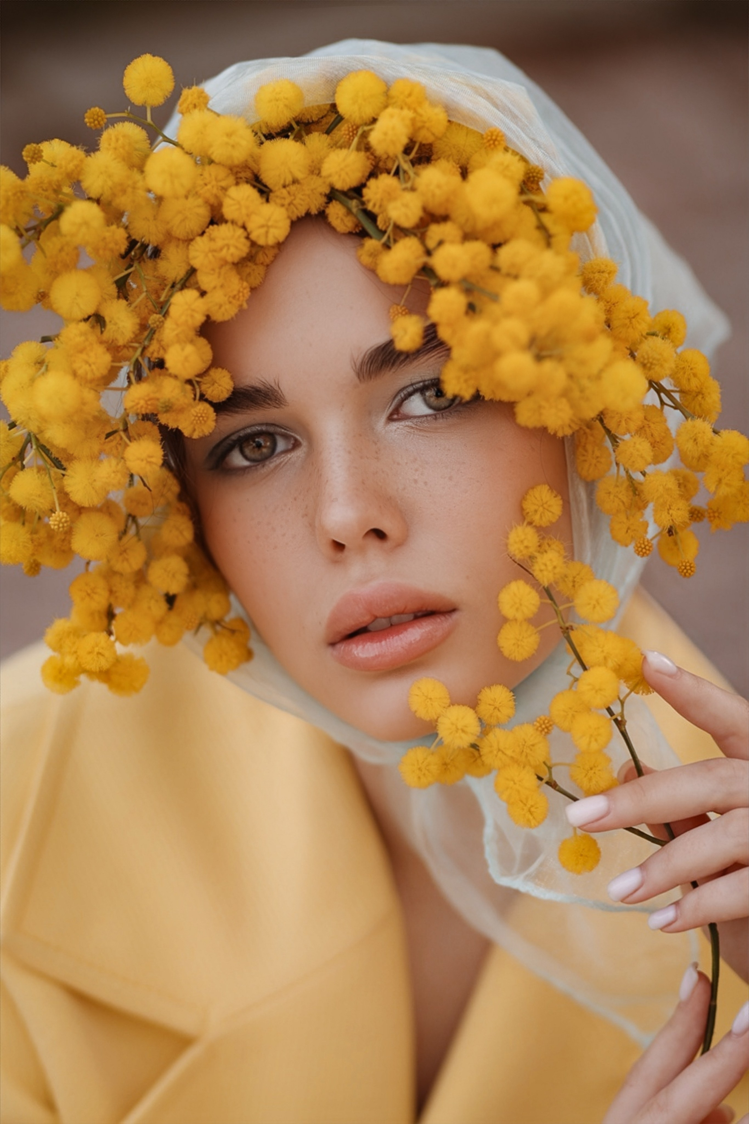 Цветение мимозы в Турции. Фотосессия в мимозе. Фотосессия с мимозой. Фотограф в Турции. Что сейчас цветет в Турции. Что сейчас цветет в Аланьи. Что цветет в апреле в анталии. Фотограф Алания турция. Мимоза в Турции. Цветение в Турции. Турецкая мимоза . Мимоза турция. 