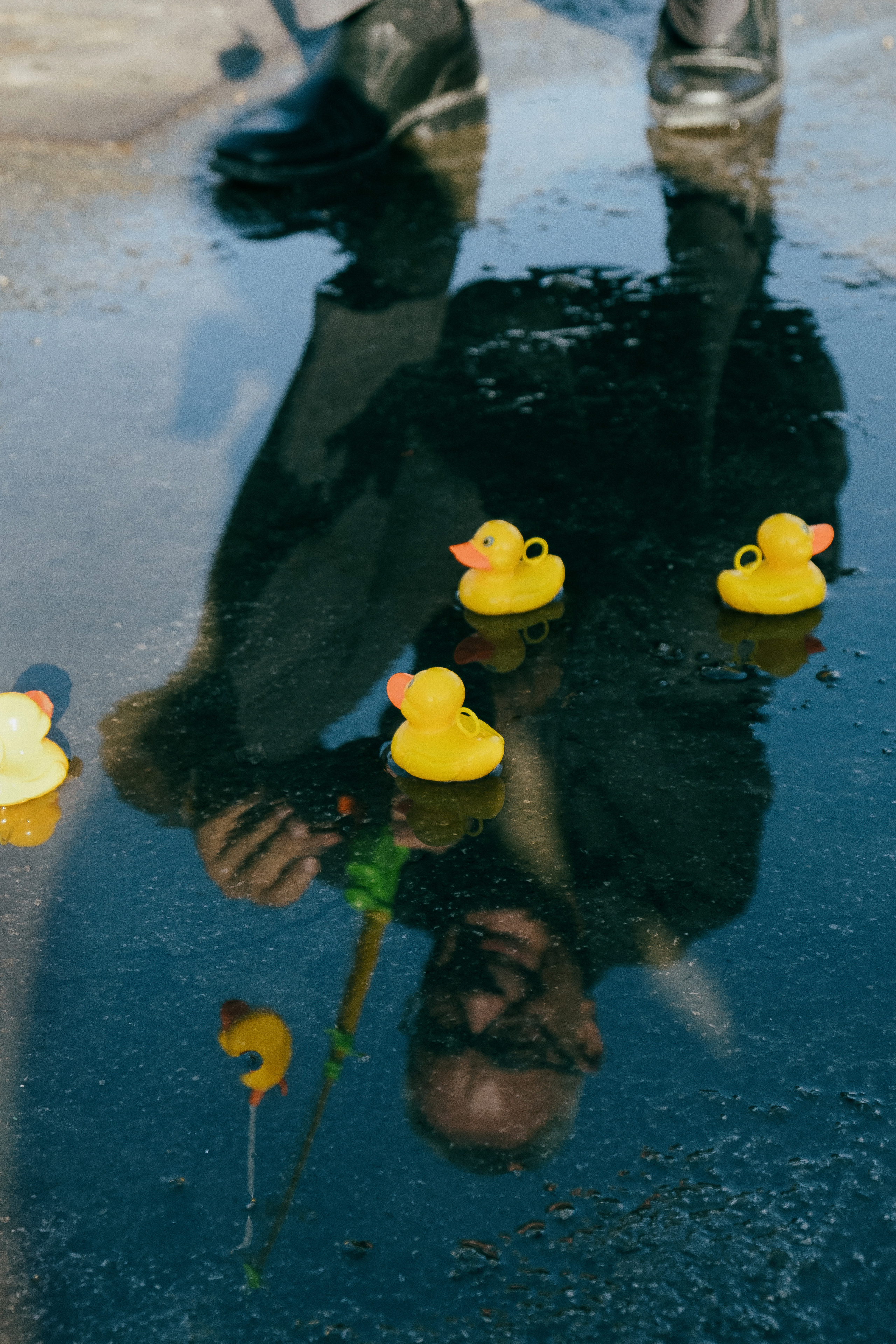Dani Mares. A fun photo session with ducks for an artist