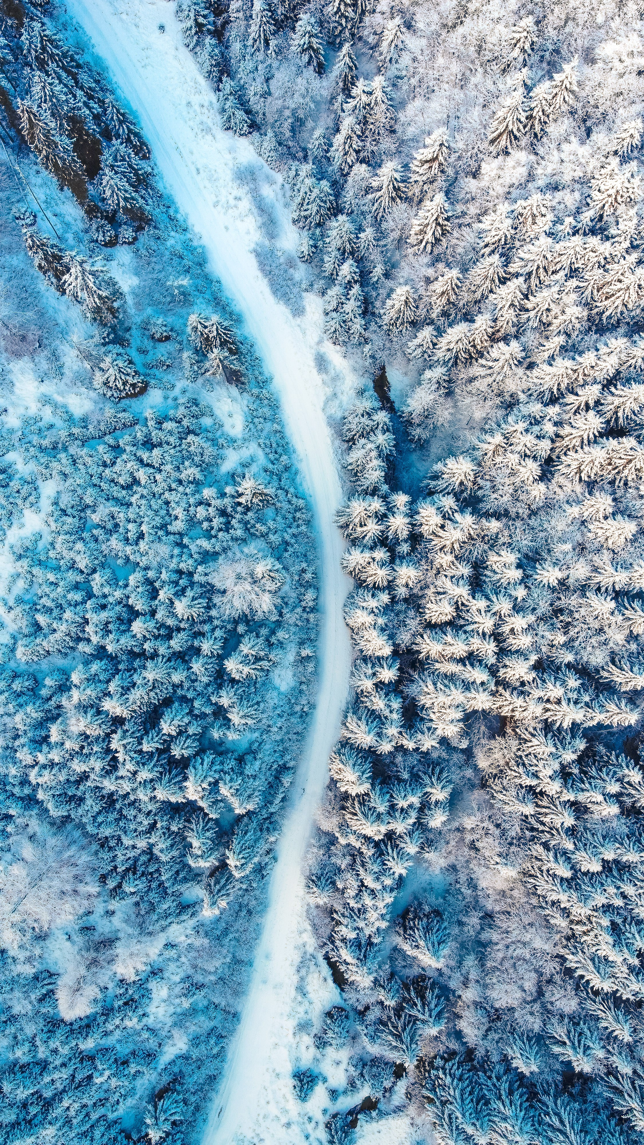 Dariussora.ro