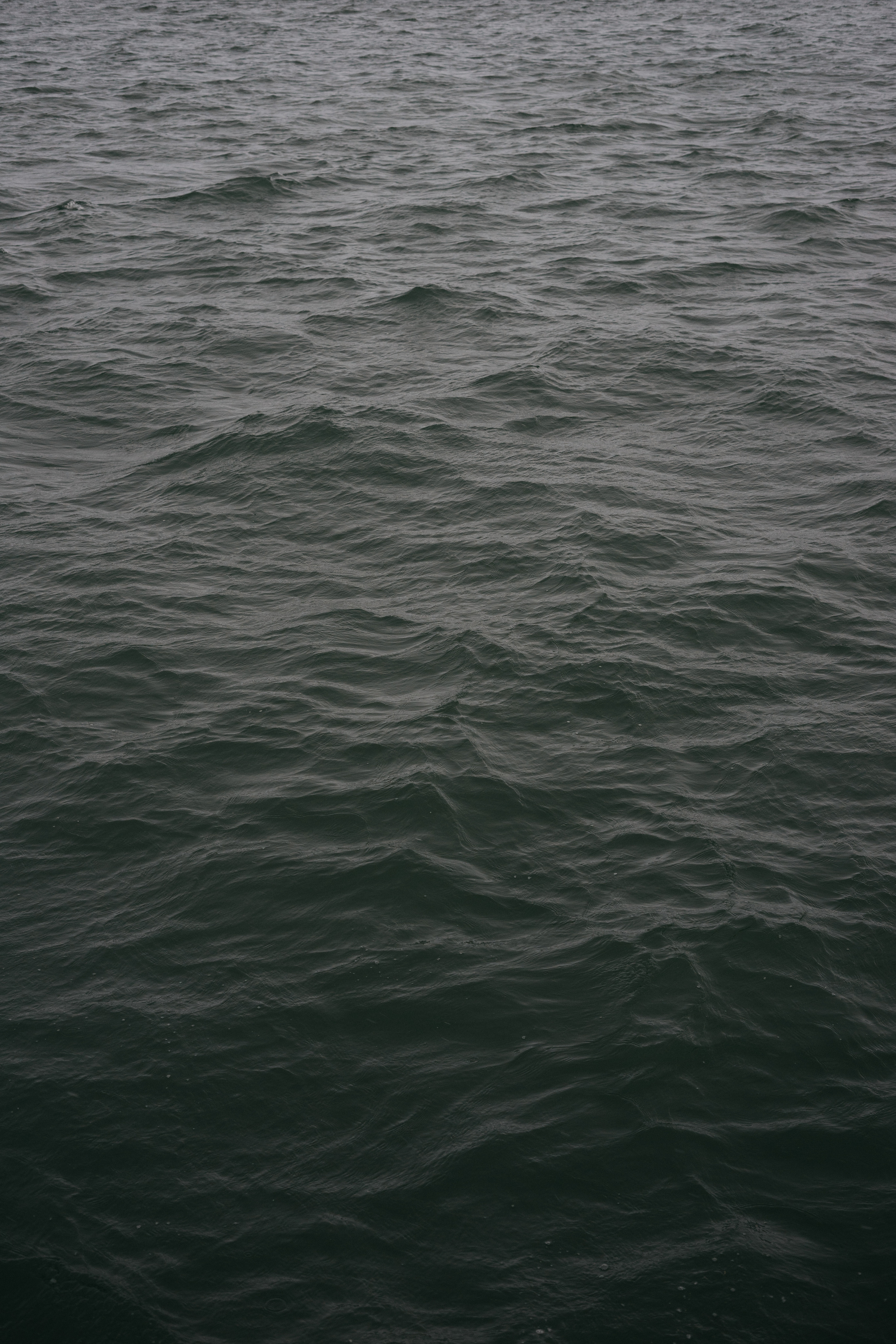 Portrains in  Landshut and Bavaria, content photos. Alexandra Tesh Photographer in Landshut, Munich, Regensburg