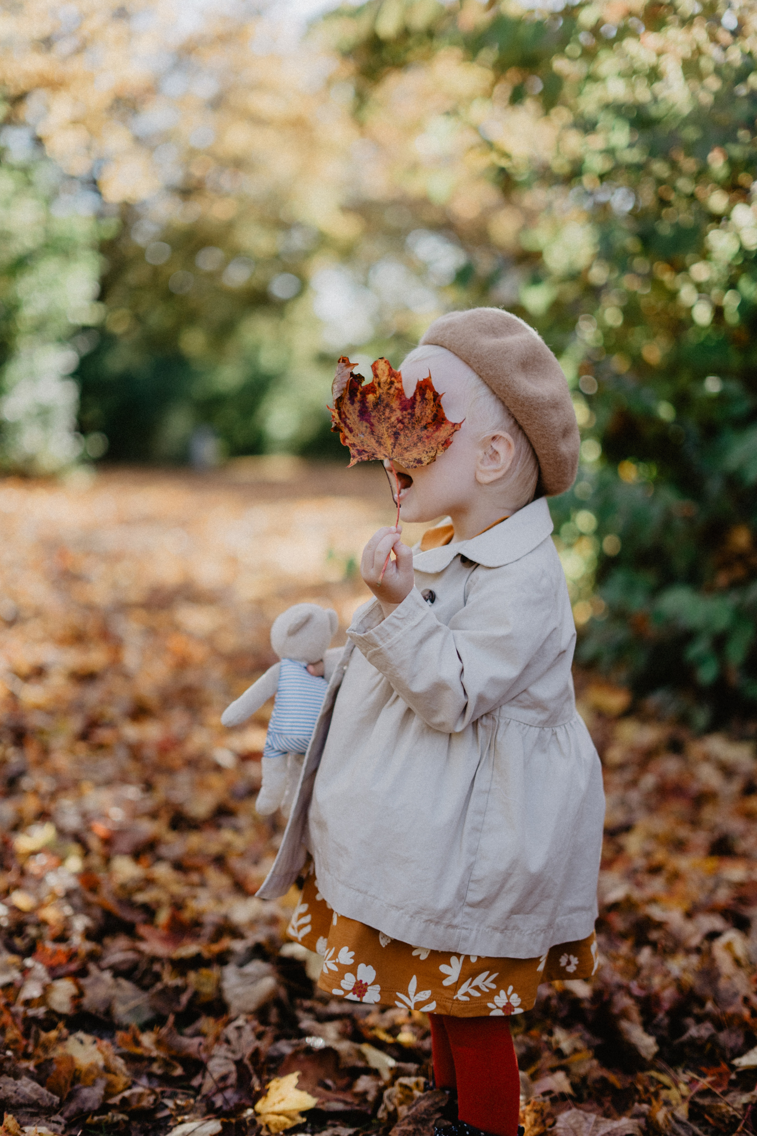 Family photoshooting Landshut and Bavaria. Alexandra Tesh Photographer in Landshut, Munich, Regensburg