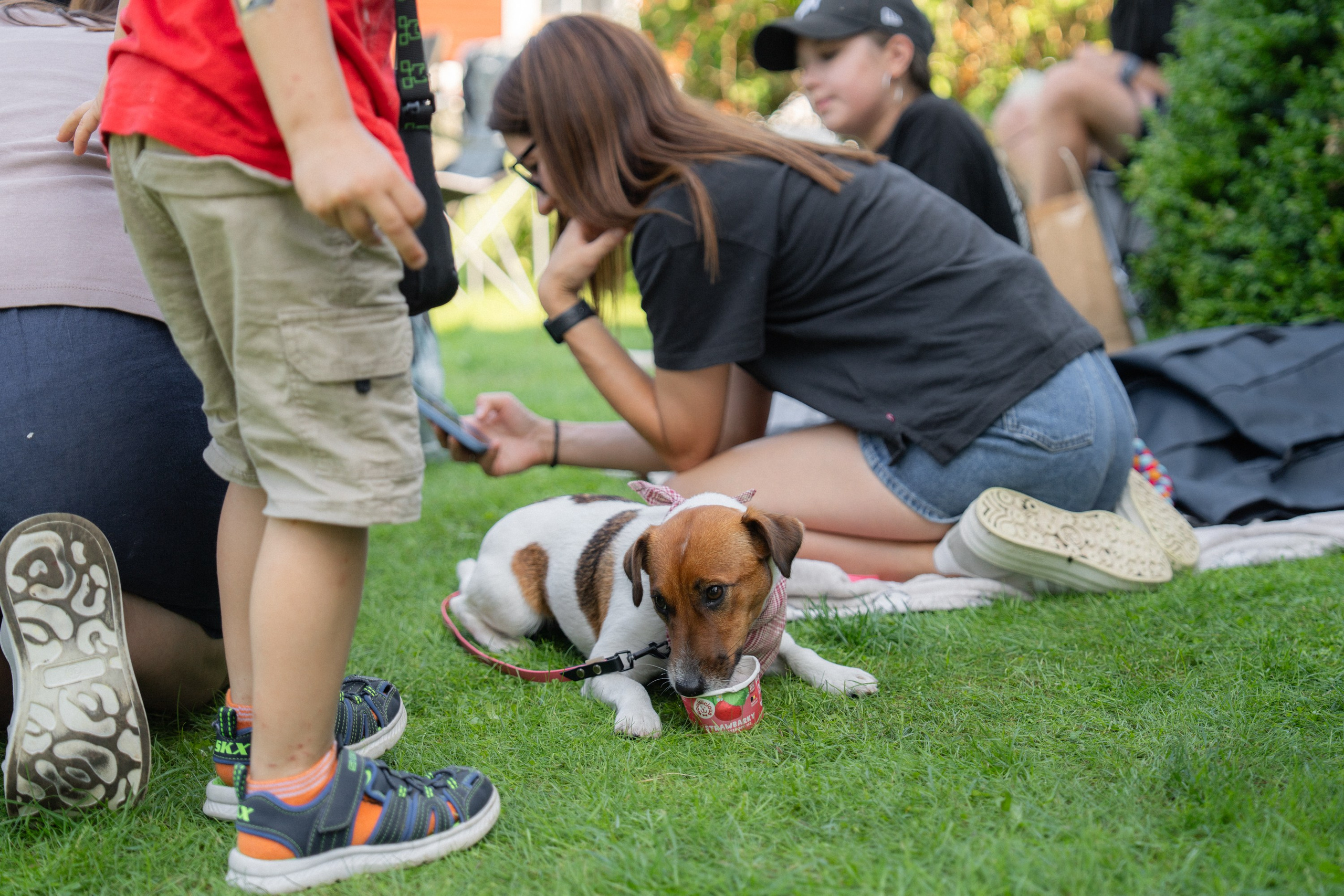 Heppi Dogo fest 2025. Vita Klimaševska ○ Fluffy Soulmate Photography