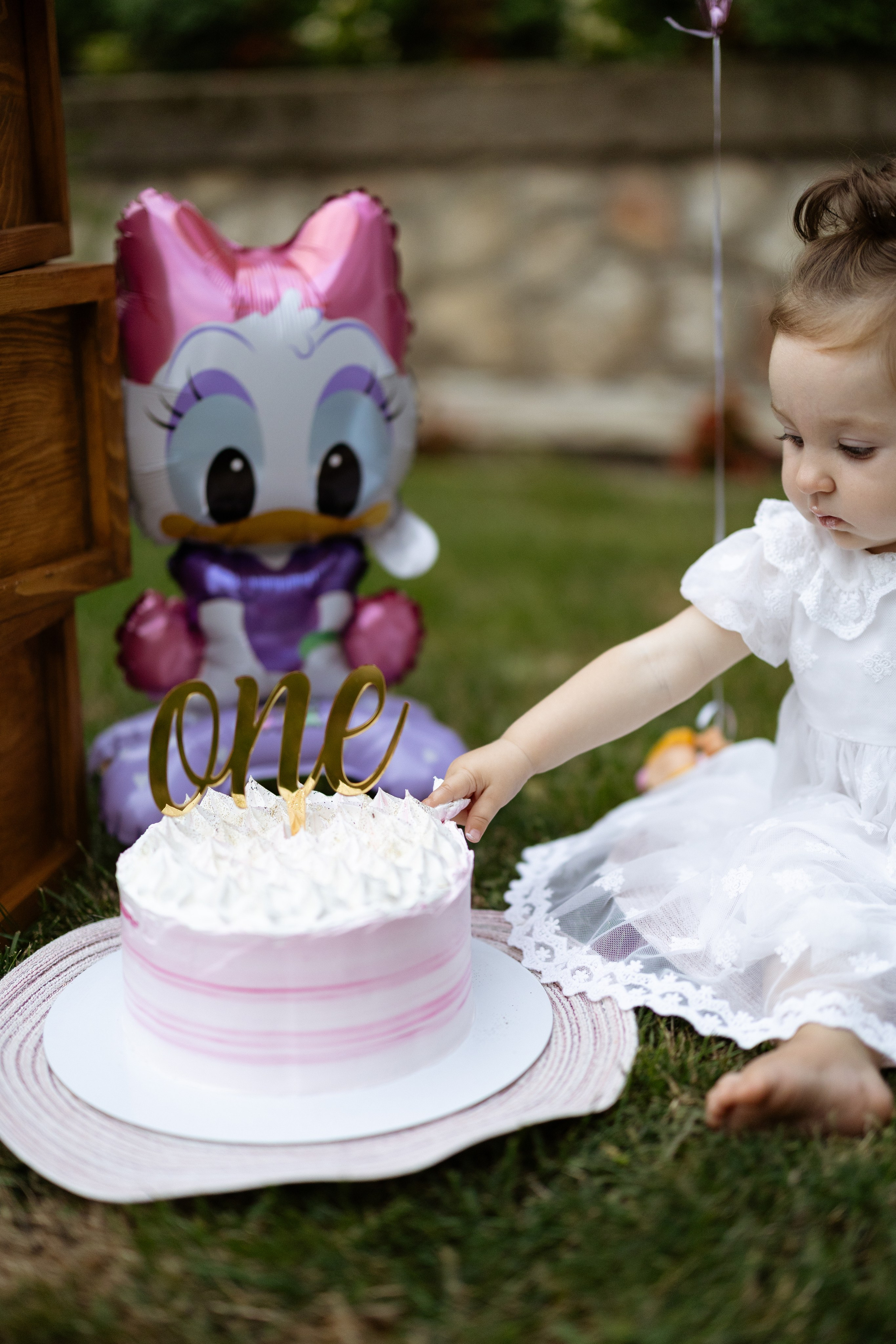 Cake Smash. Novorođenčad, Trudnice i Porodični fotogaf u Beču i Požarevcu Mihajlo Stević