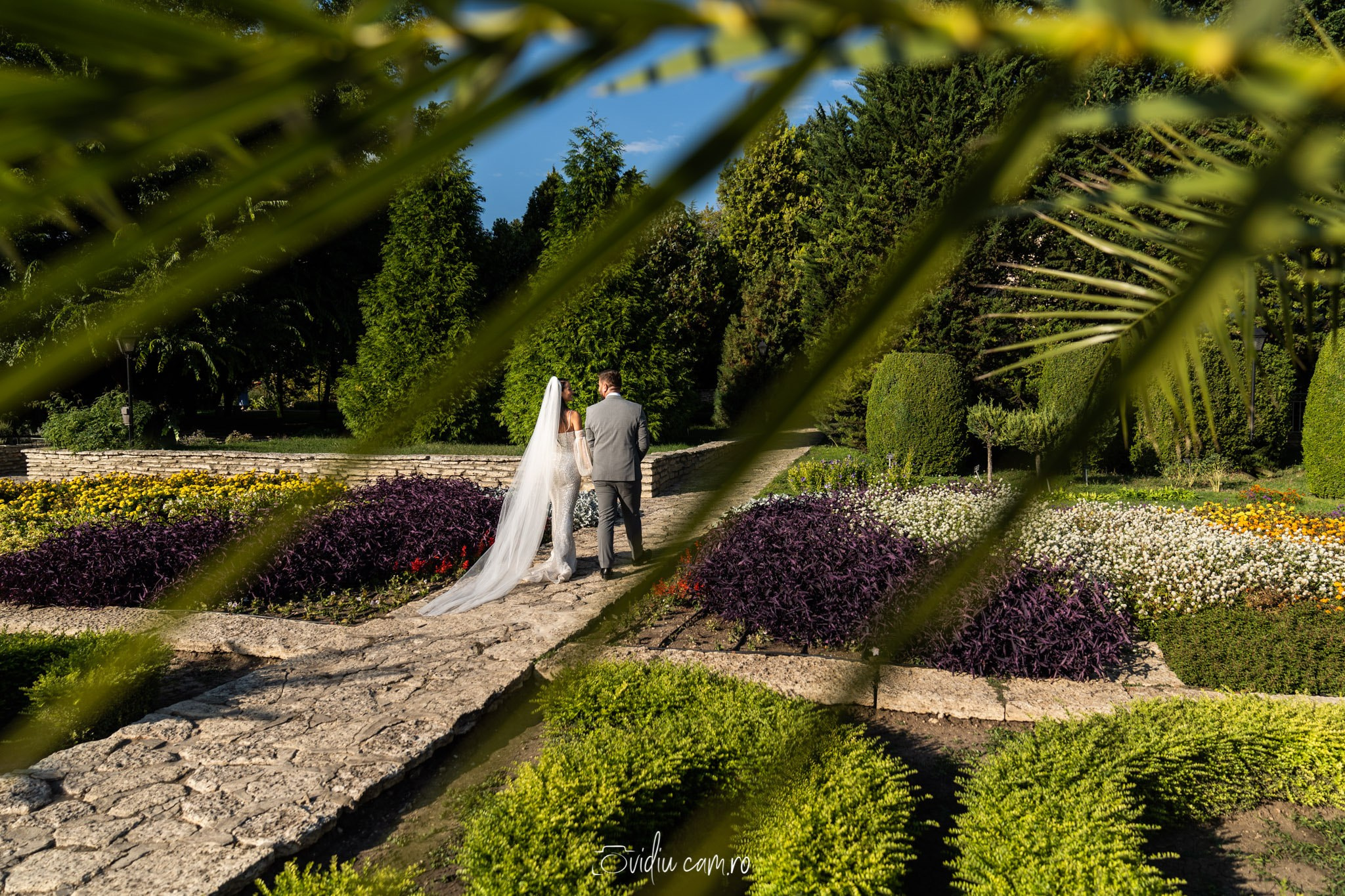 Nunta. Fotograf de Nunta