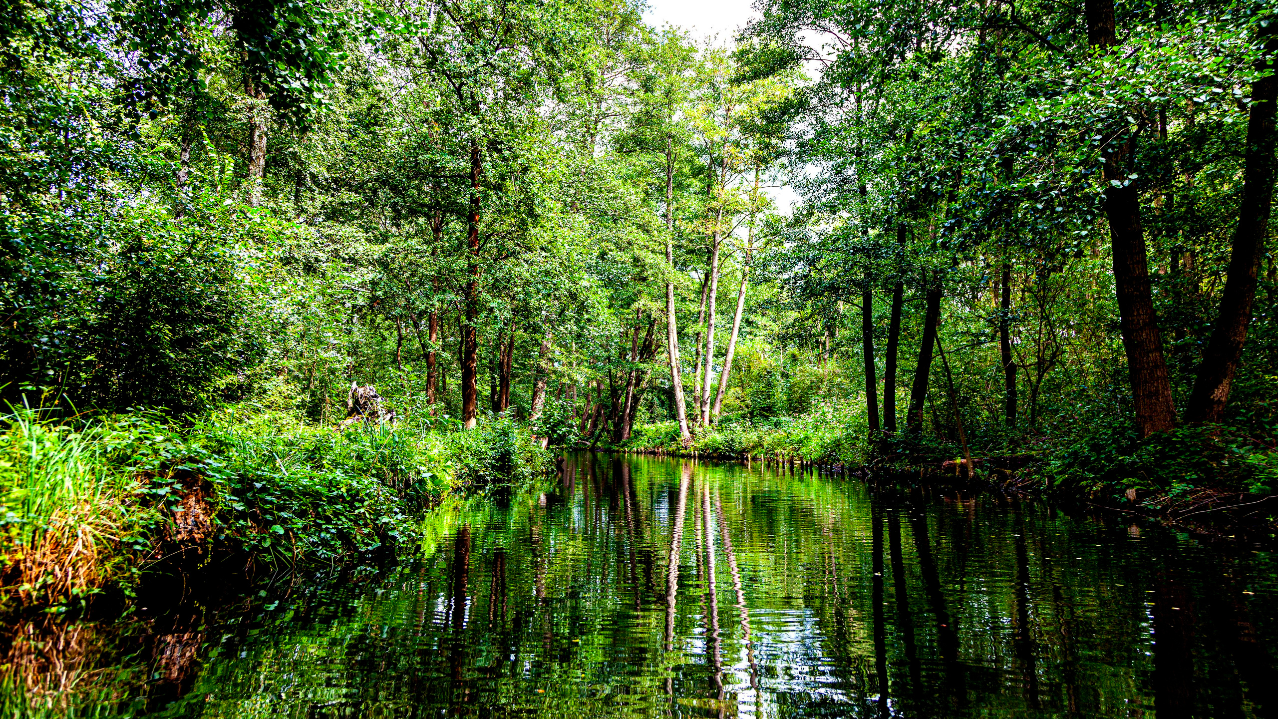 142.Lübbenau/Spreewald.21.8.2022. Путешествия в формате 360......