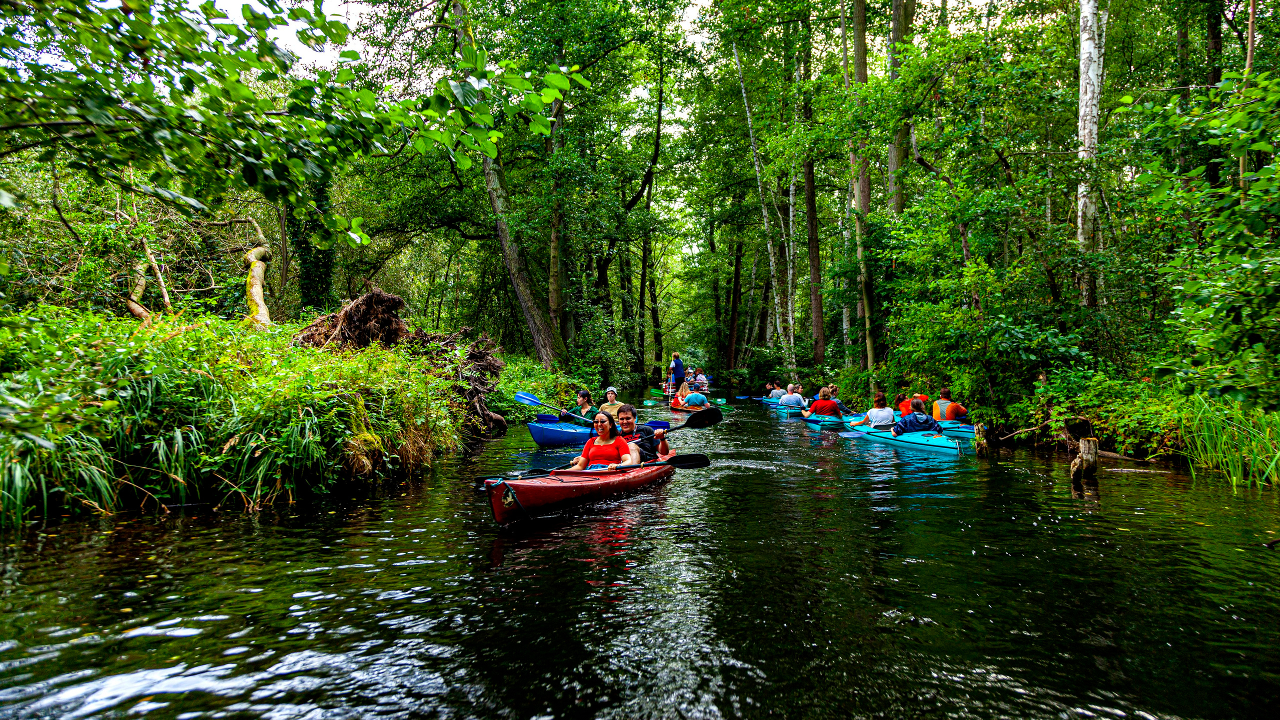 142.Lübbenau/Spreewald.21.8.2022. Путешествия в формате 360......