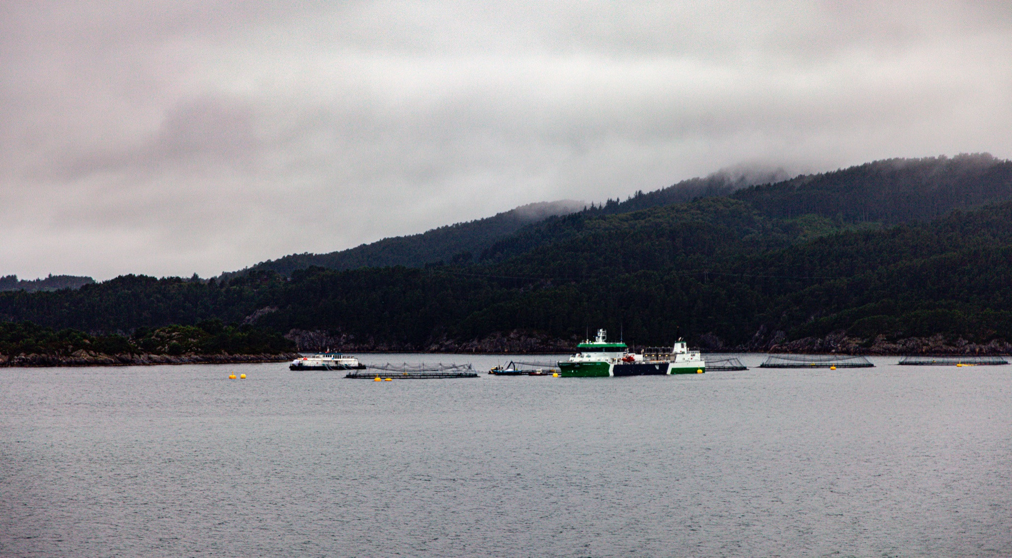 129.17.7.2022.Ferry Stavanger — Bergen.Norway. Путешествия в формате 360......