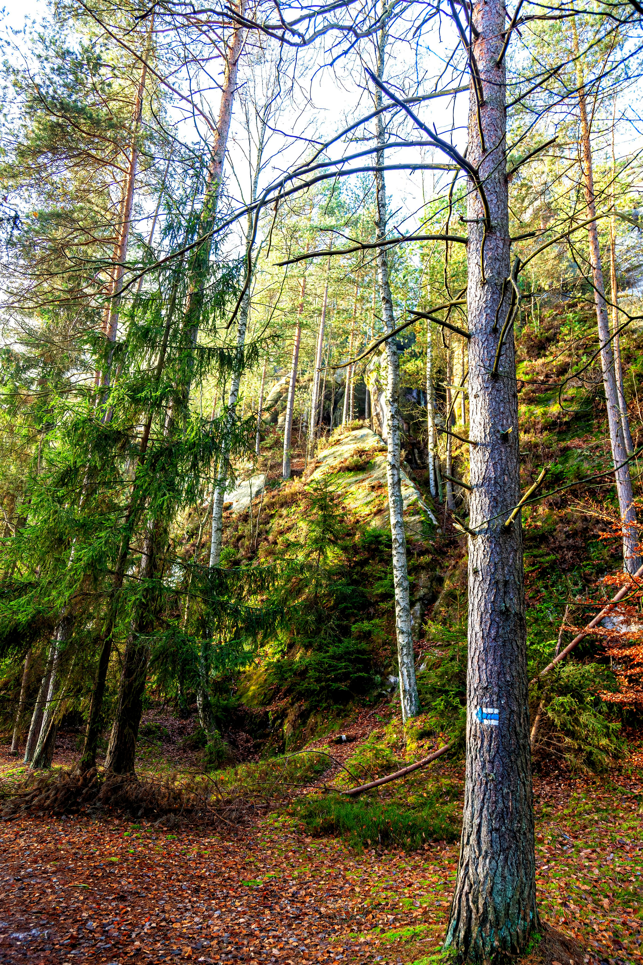 147.Adršpach.Czech Republic.19.11.2022. Путешествия в формате 360......