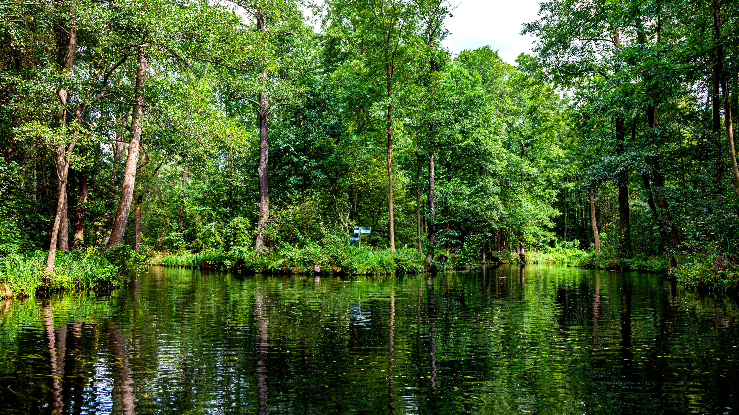 142.Lübbenau/Spreewald.21.8.2022. Путешествия в формате 360......