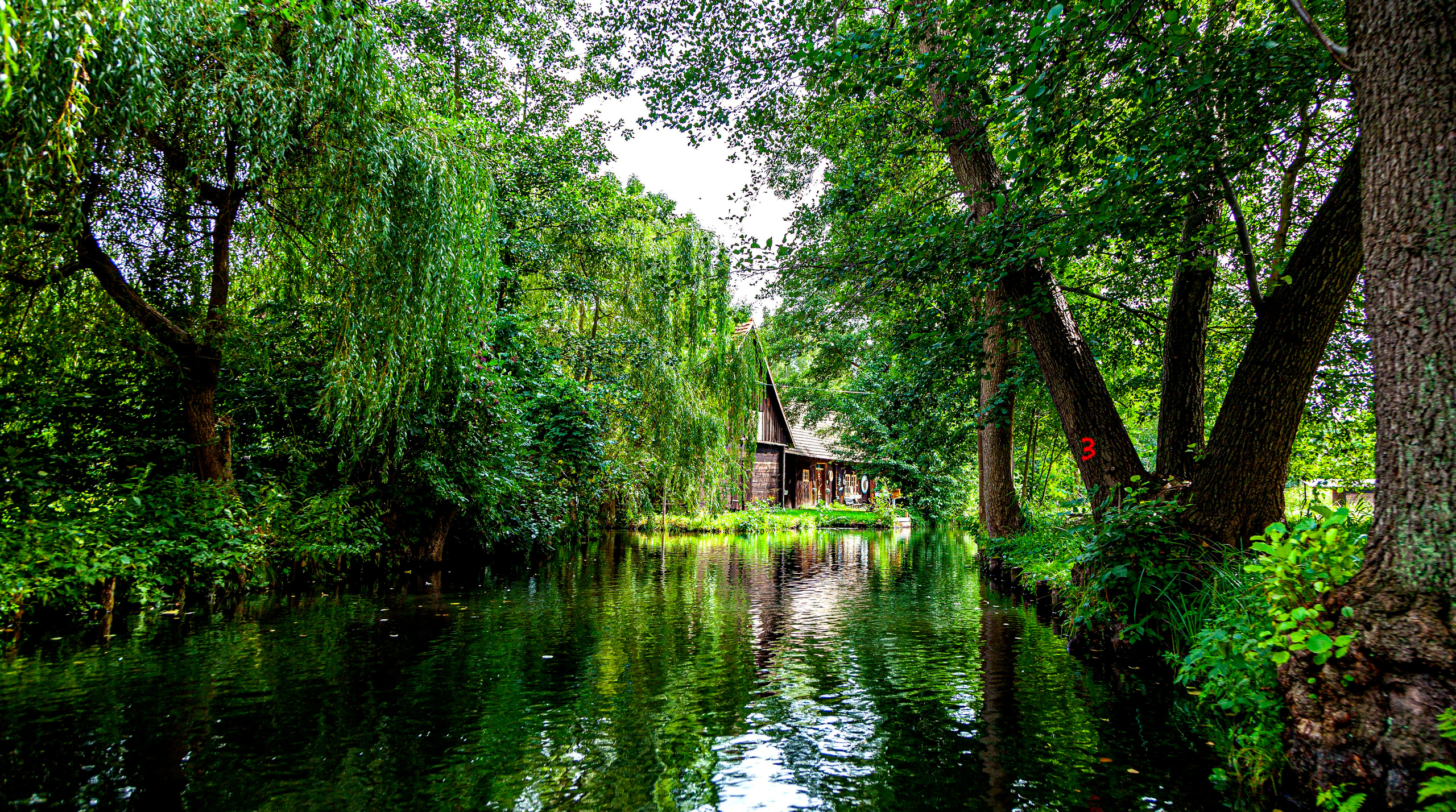 142.Lübbenau/Spreewald.21.8.2022. Путешествия в формате 360......