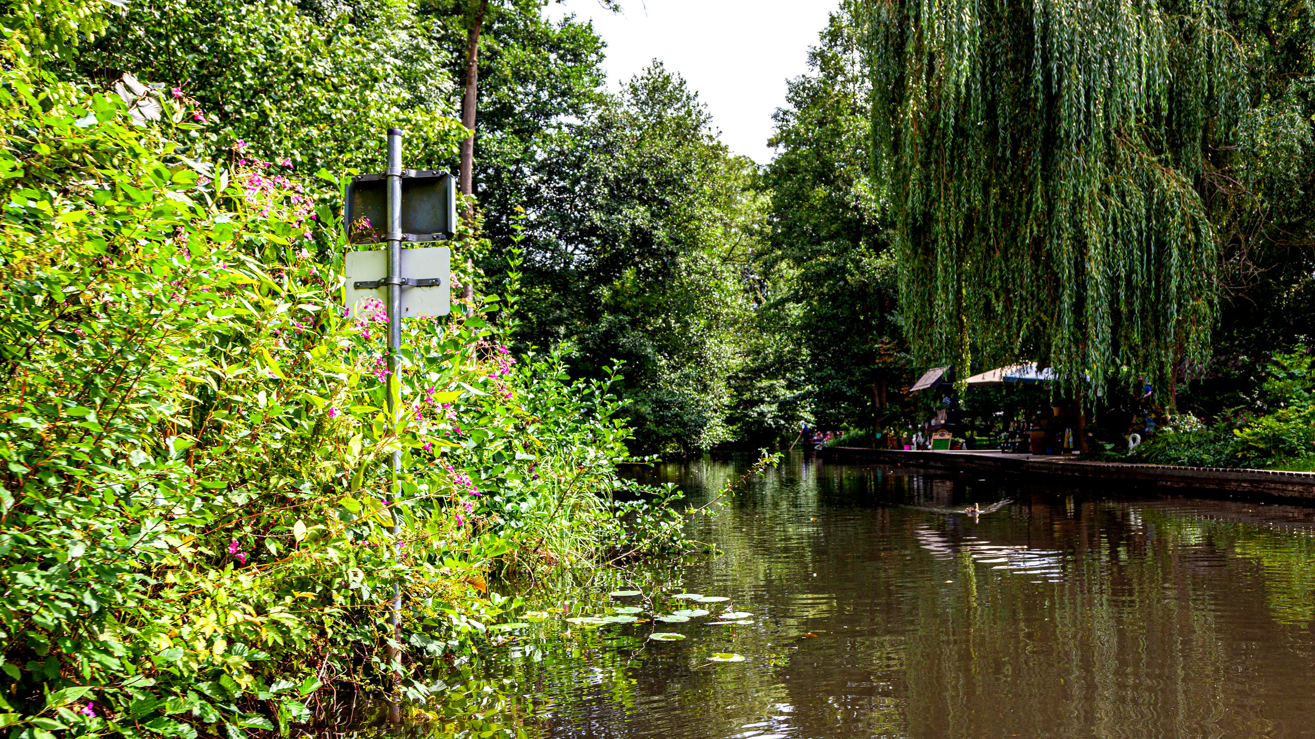 142.Lübbenau/Spreewald.21.8.2022. Путешествия в формате 360......