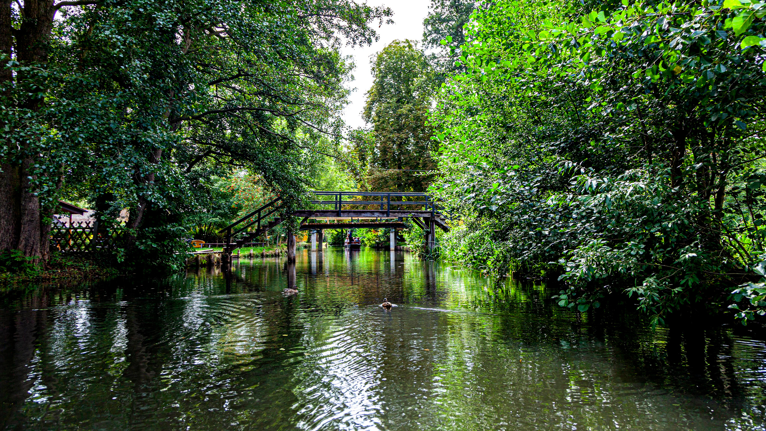 142.Lübbenau/Spreewald.21.8.2022. Путешествия в формате 360......