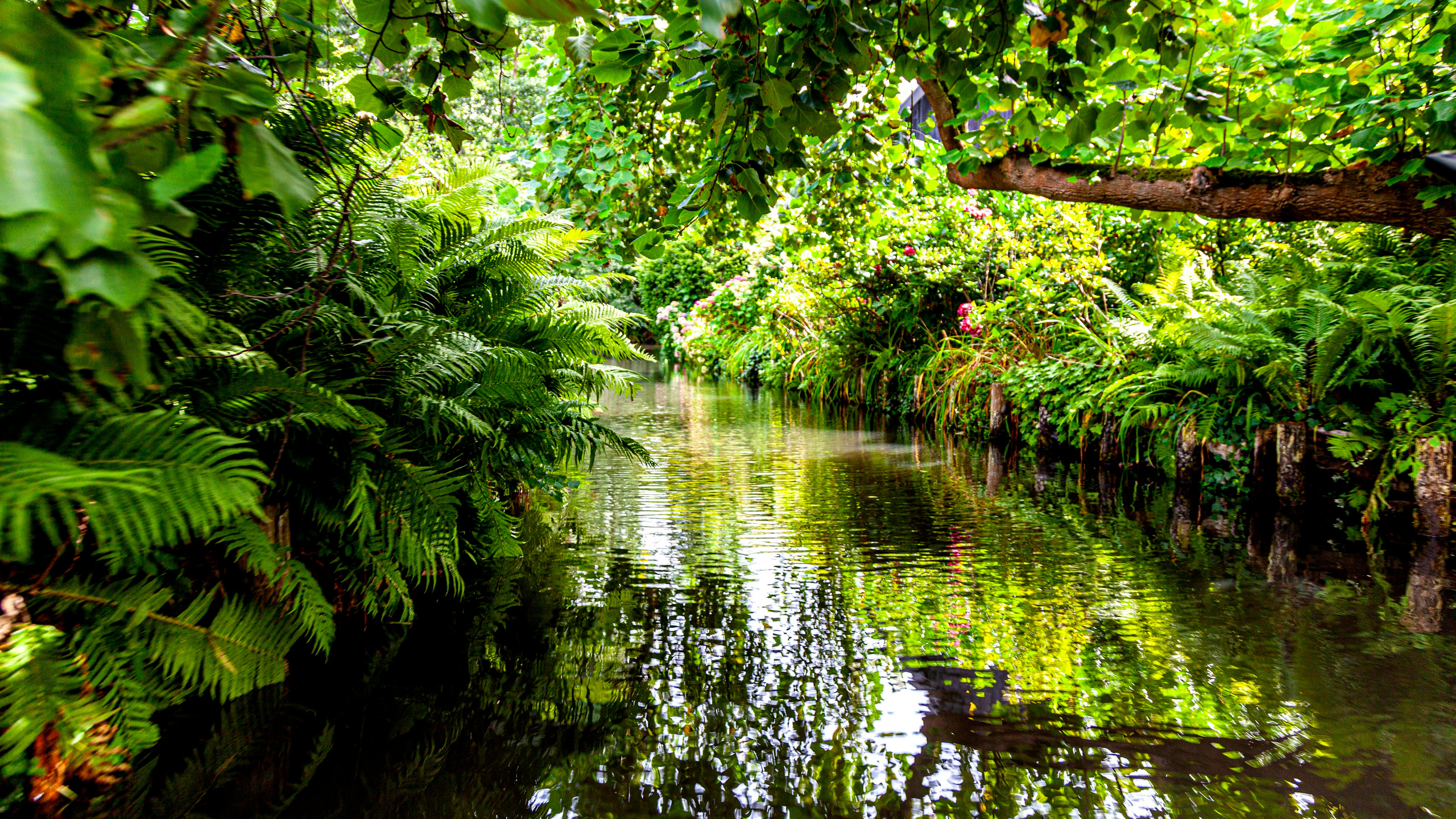 142.Lübbenau/Spreewald.21.8.2022. Путешествия в формате 360......