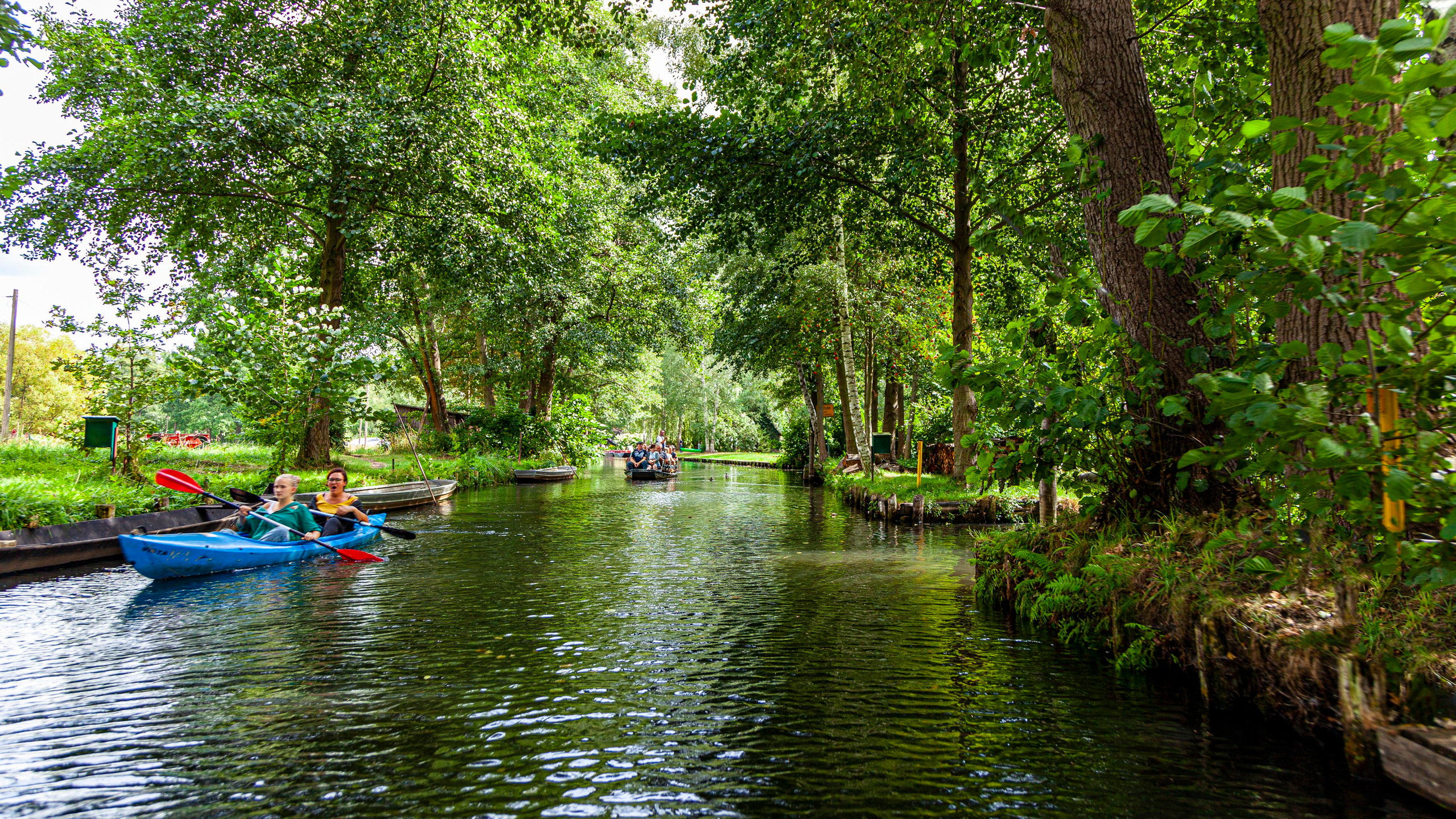 142.Lübbenau/Spreewald.21.8.2022. Путешествия в формате 360......