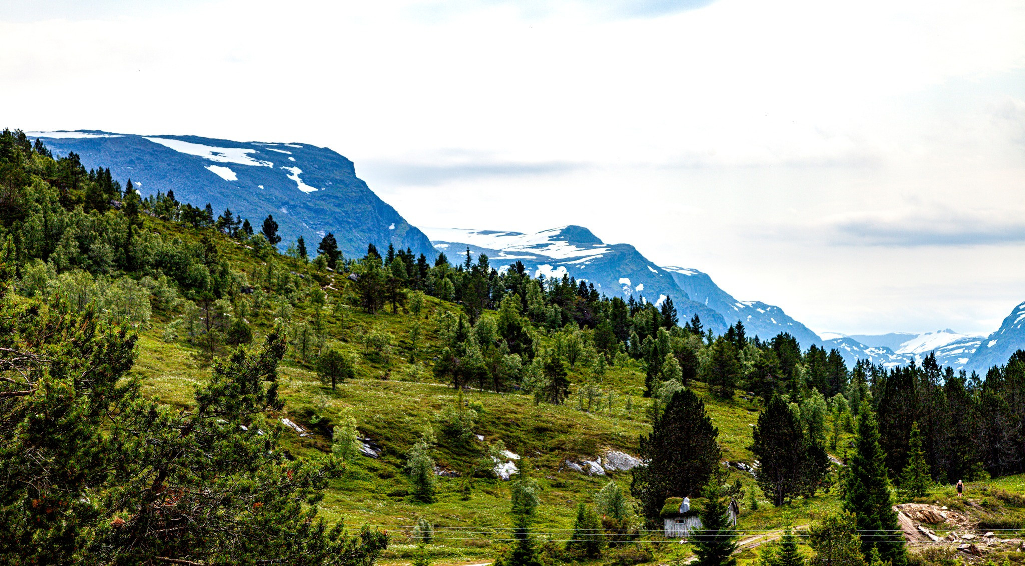 141.Somewhere in Norway. 14 — 22.7.2022. Путешествия в формате 360......