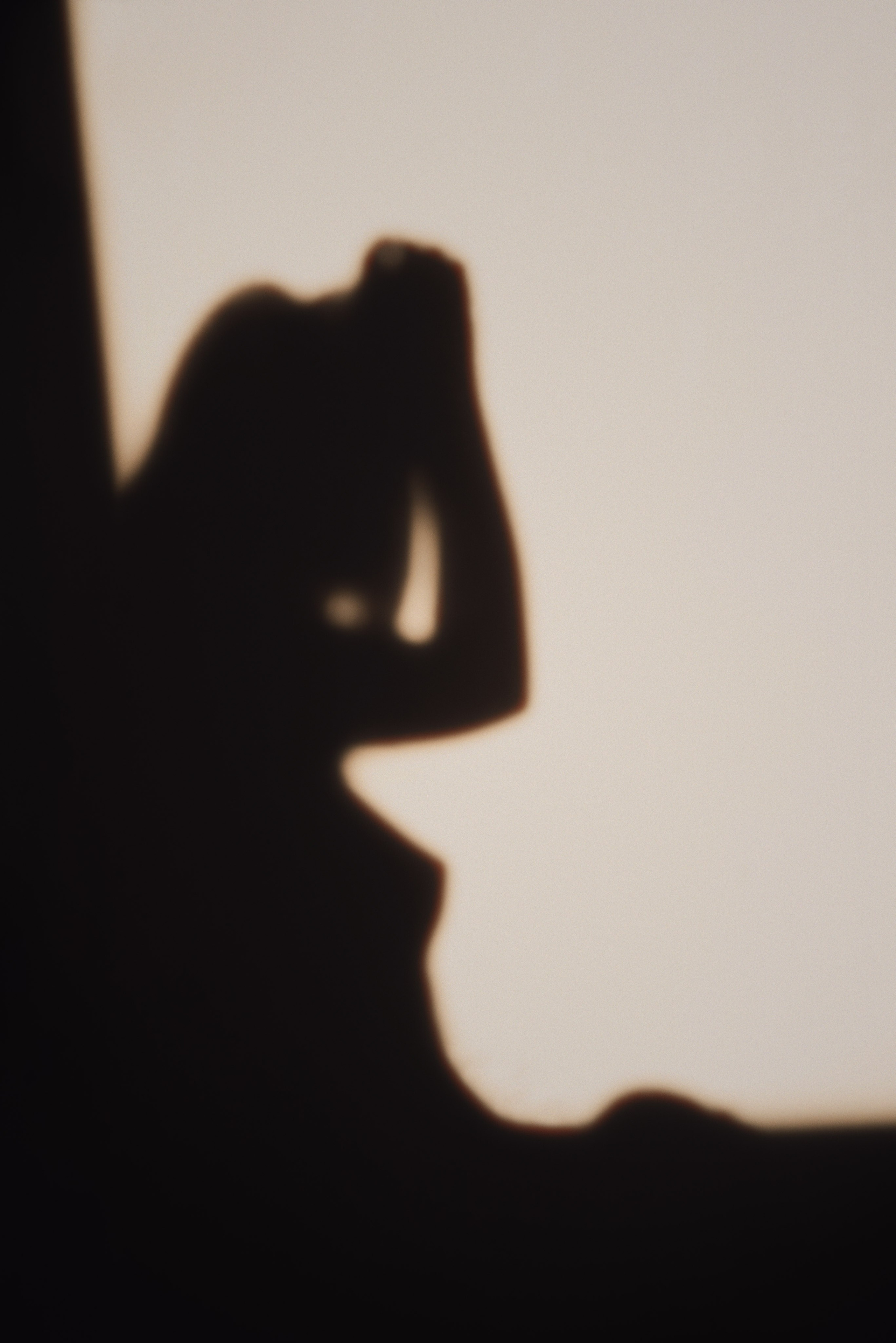 Sunset. Žukov Studio