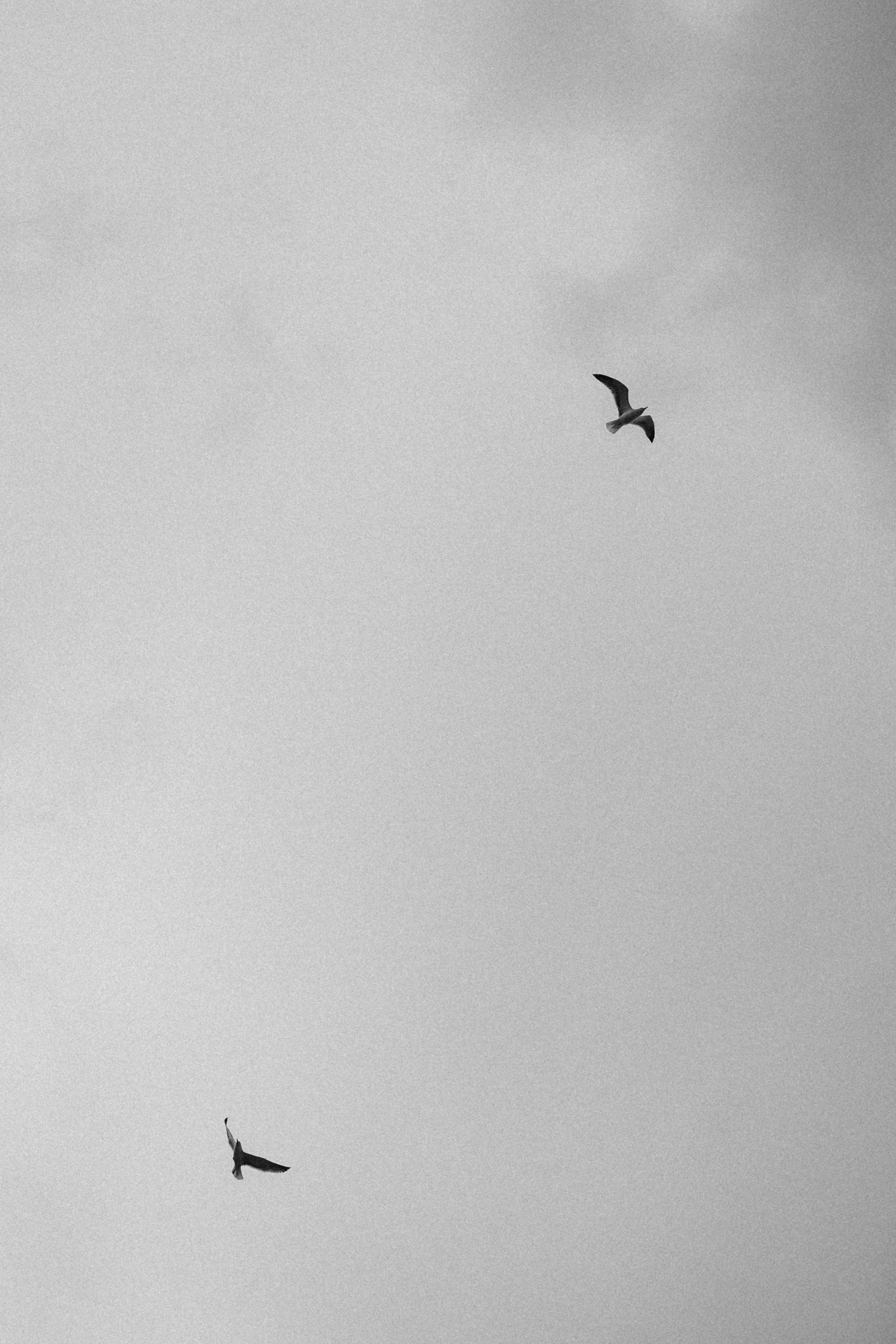 Винченцо & Клаудиа. Дарина Иванова, лайфстайл фотограф в Неаполе. Портреты, свадьбы