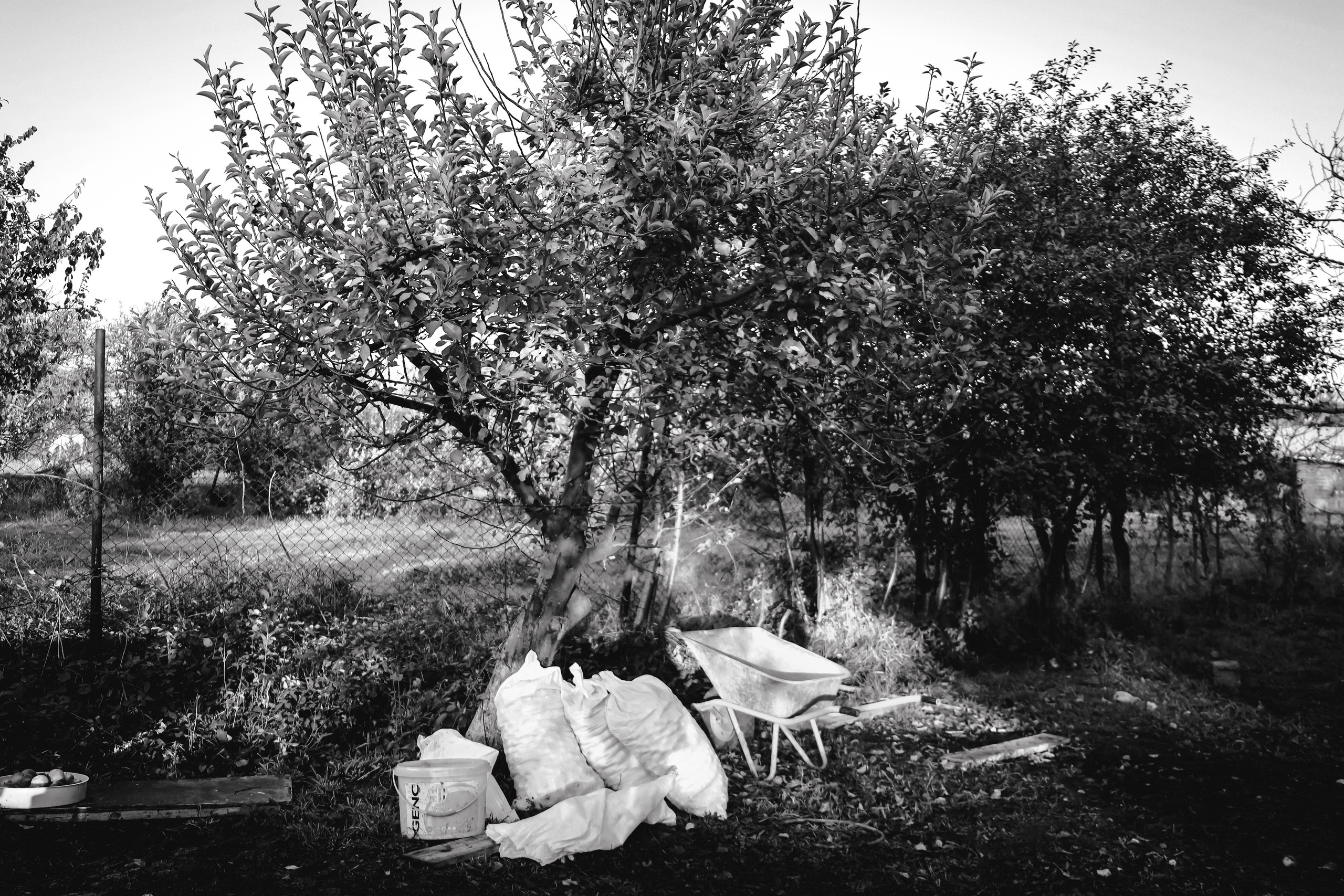 Factory reportage (hand-crafted cider). Asmikiam