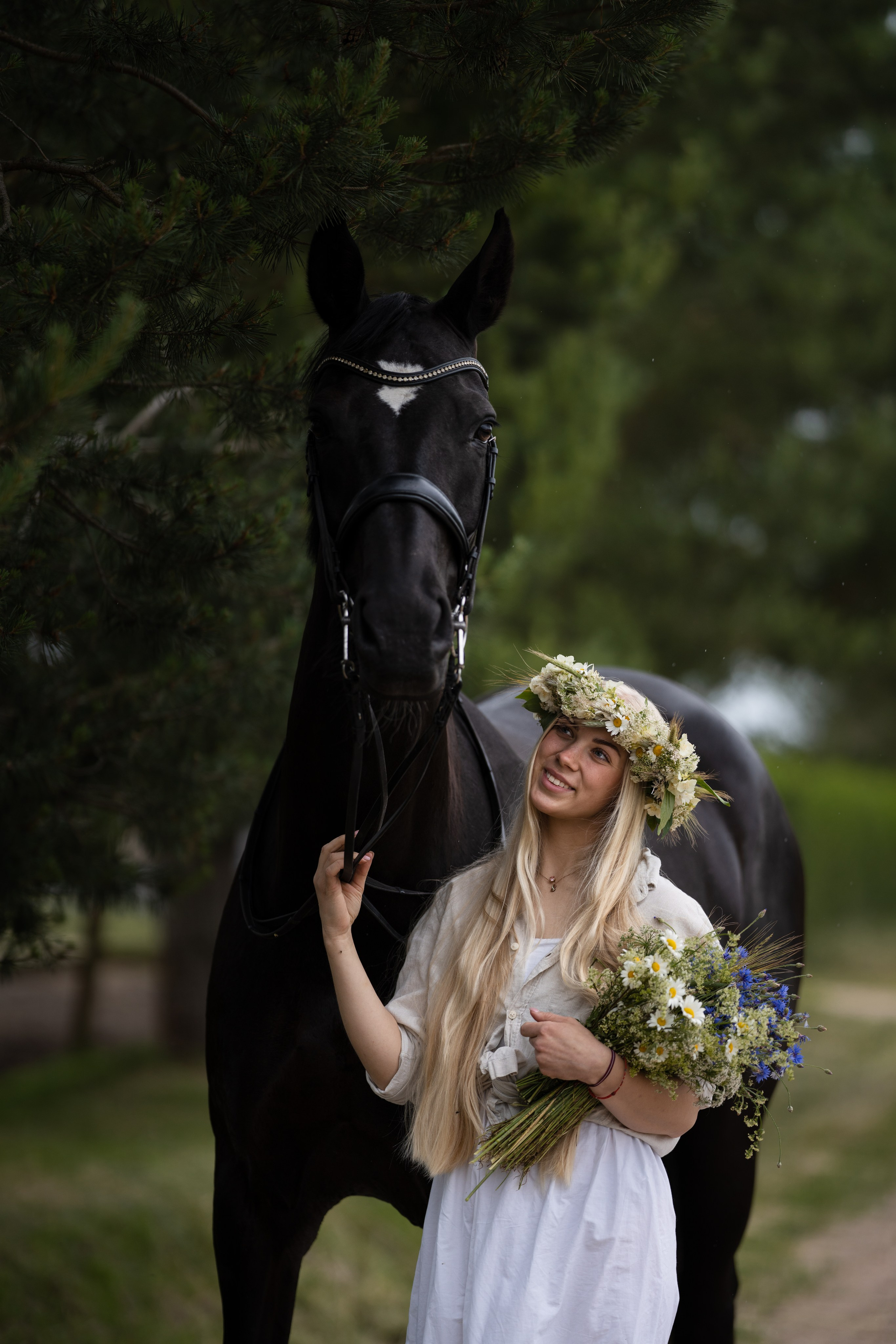Equestrian art. Sports and portrait photographer in Riga