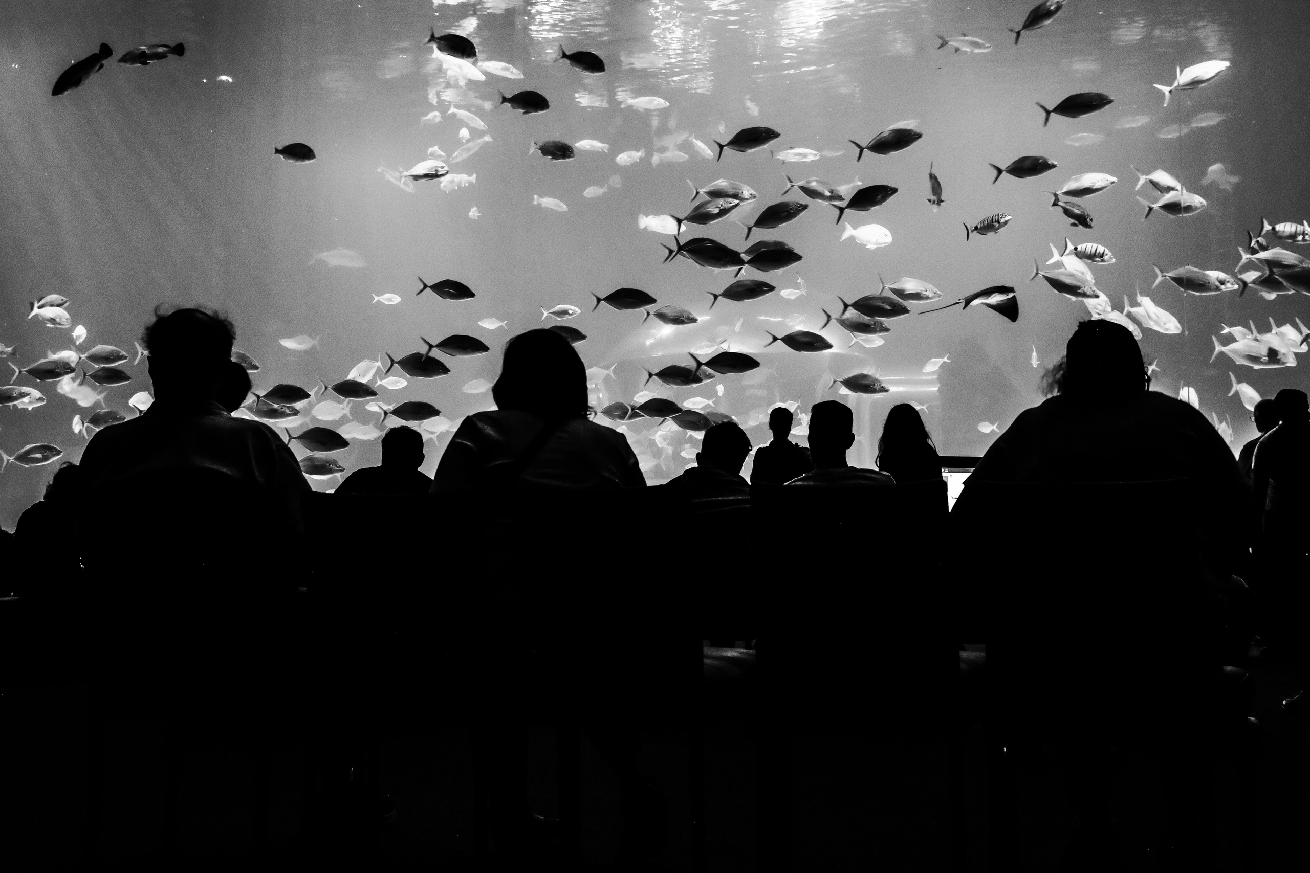 Film. Lifestyle & Documentary Photography in Bristol, Bath & London — def0cused